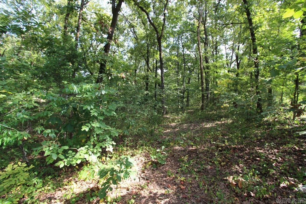 16 Fox Hill  Greenbrier, AR