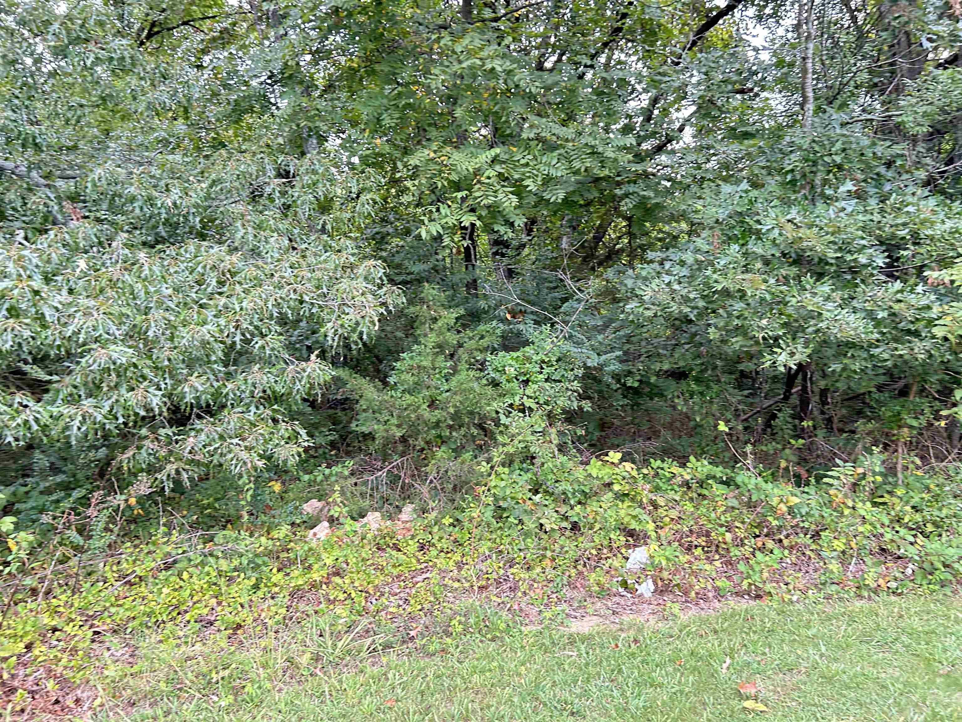 Lots 3,4,5 Martin  Ash Flat, AR