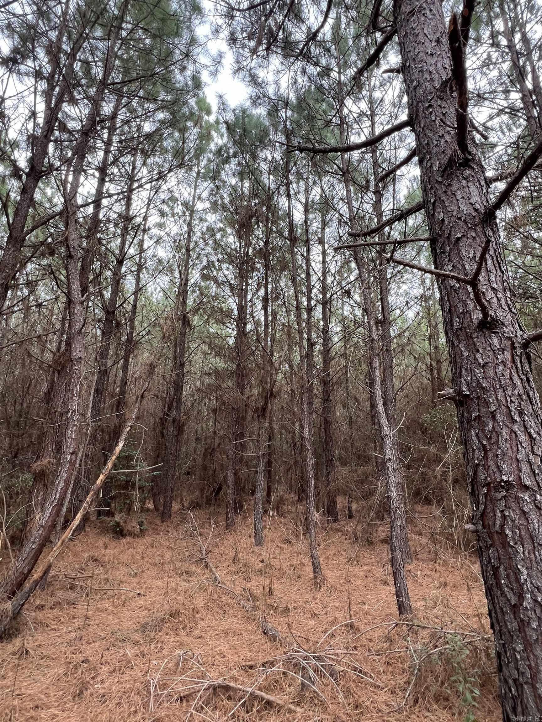  Sparkman East 25  Sparkman, AR