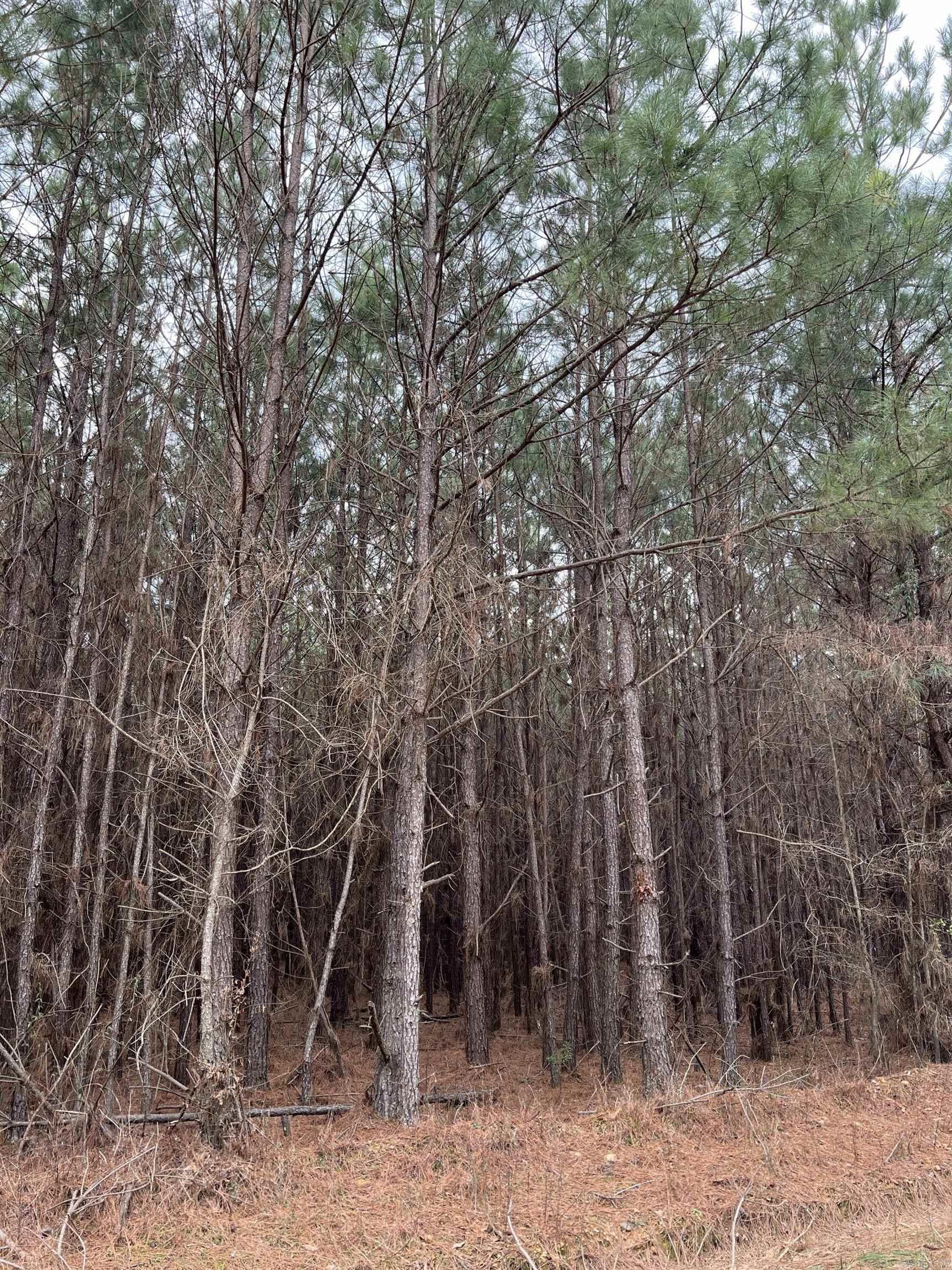  Sparkman East 25  Sparkman, AR