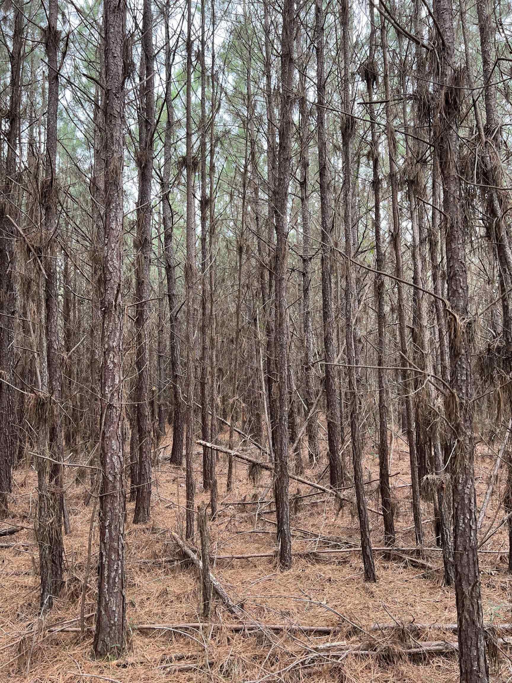  Sparkman East 25  Sparkman, AR