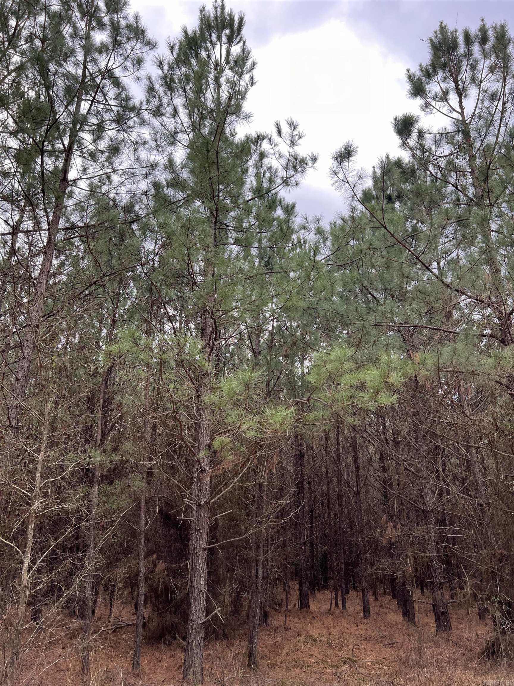  Sparkman East 25  Sparkman, AR