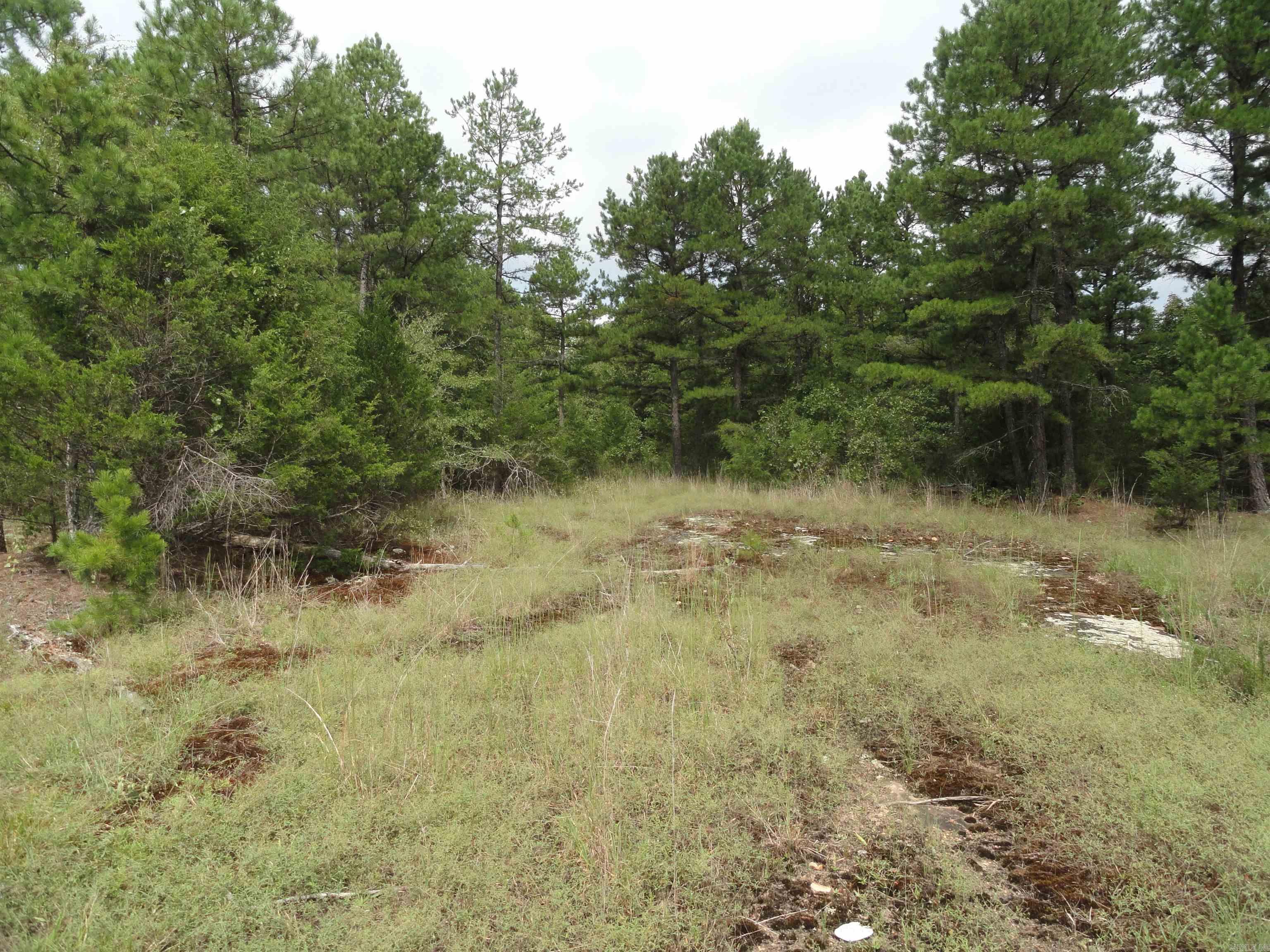 000 Baxter CR 128 Calico Rock, AR 72519
