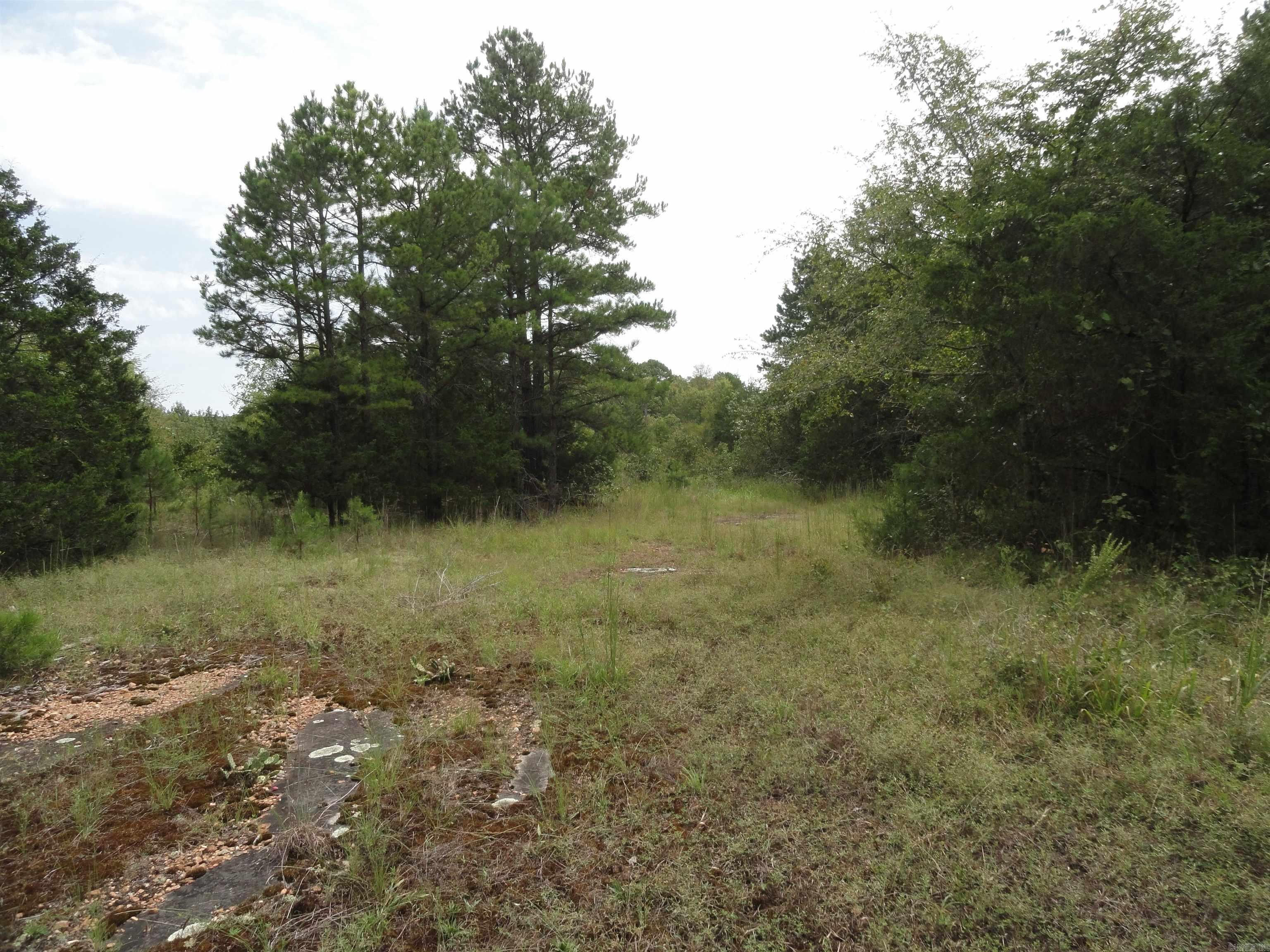 000 Baxter CR 128 Calico Rock, AR 72519