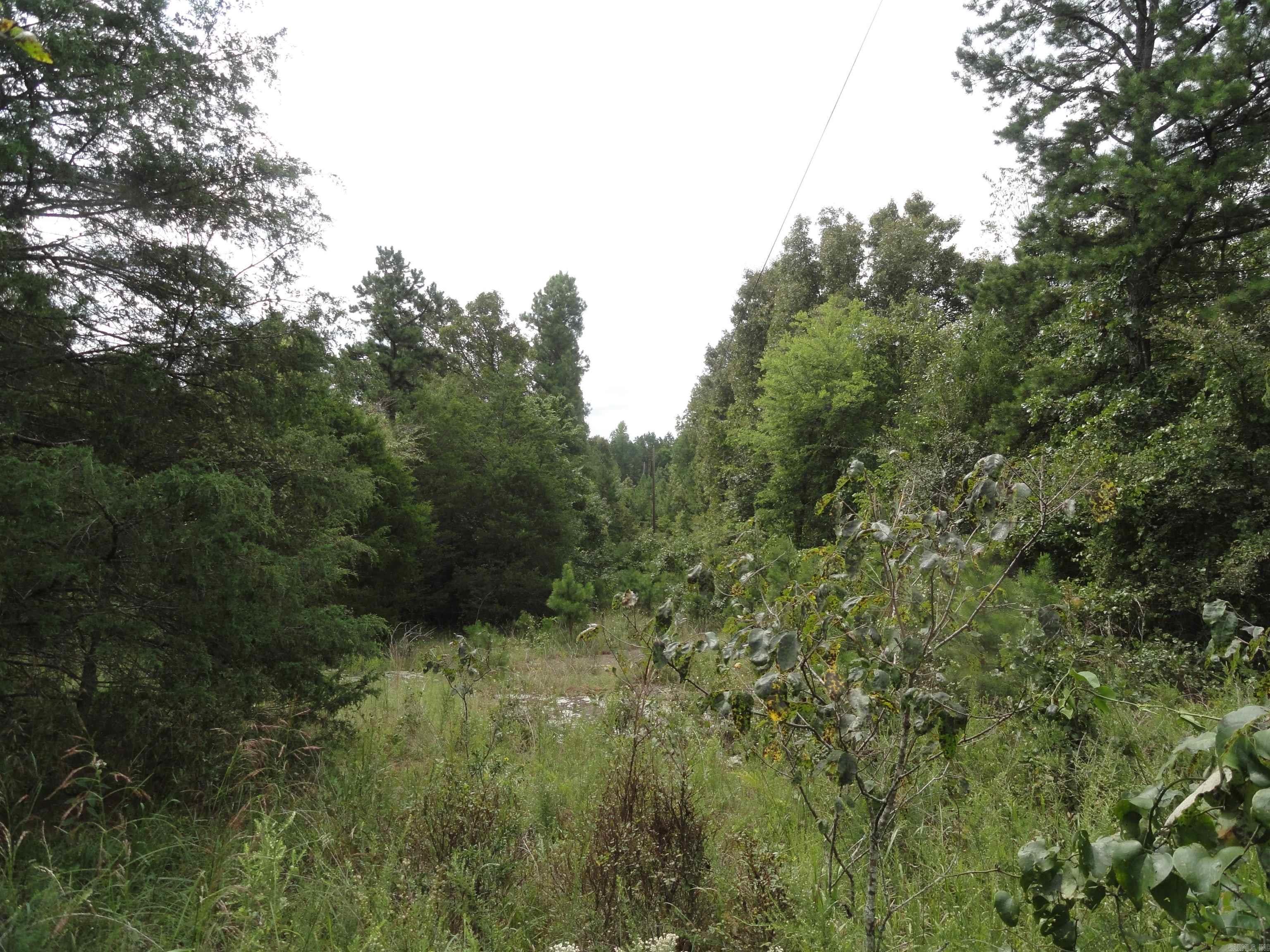 000 Baxter CR 128 Calico Rock, AR 72519