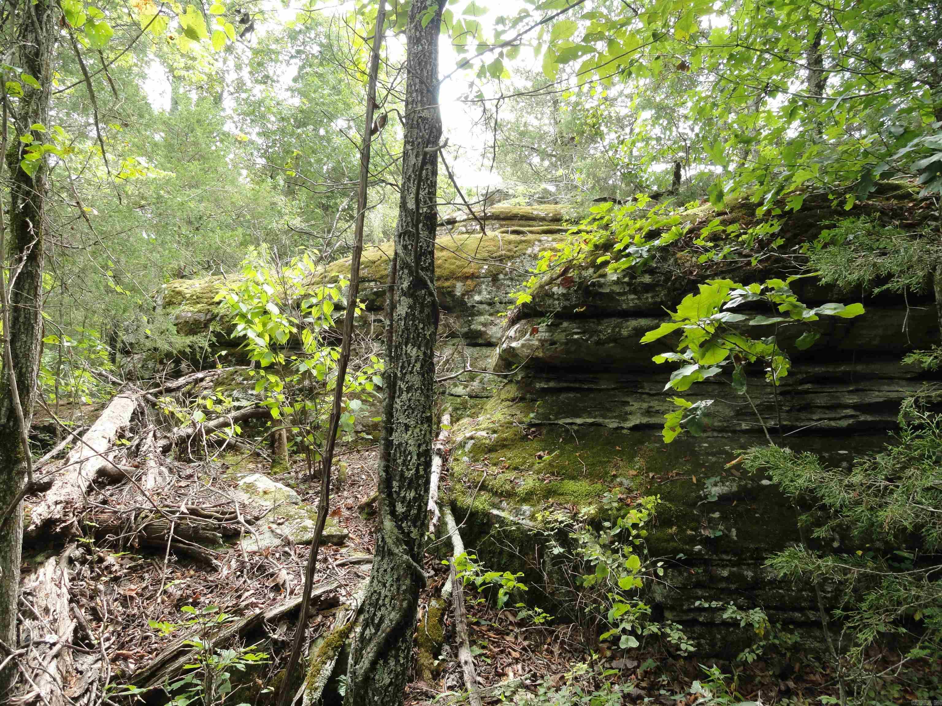 000 Baxter CR 128 Calico Rock, AR 72519