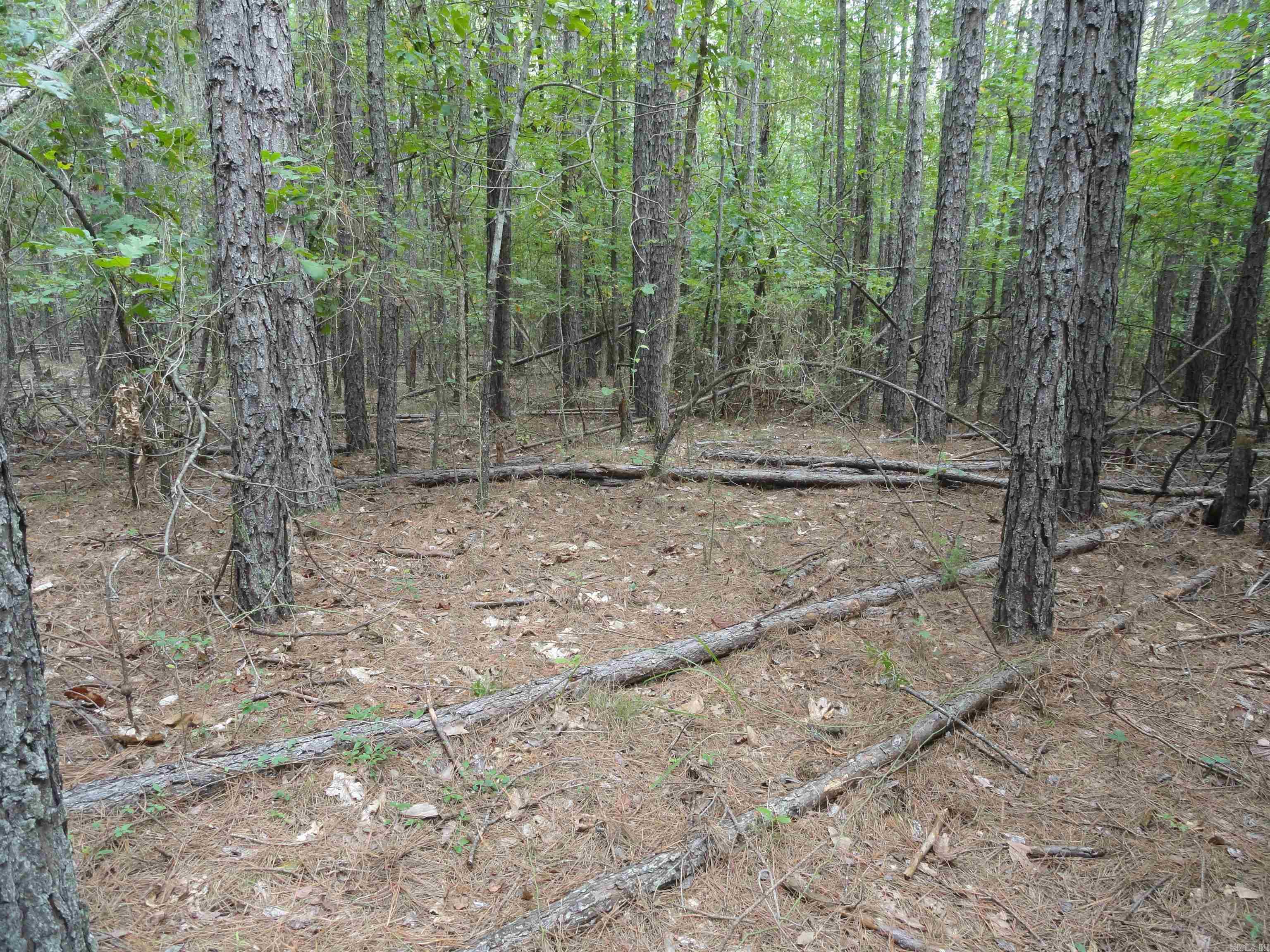 000 Baxter CR 128 Calico Rock, AR 72519