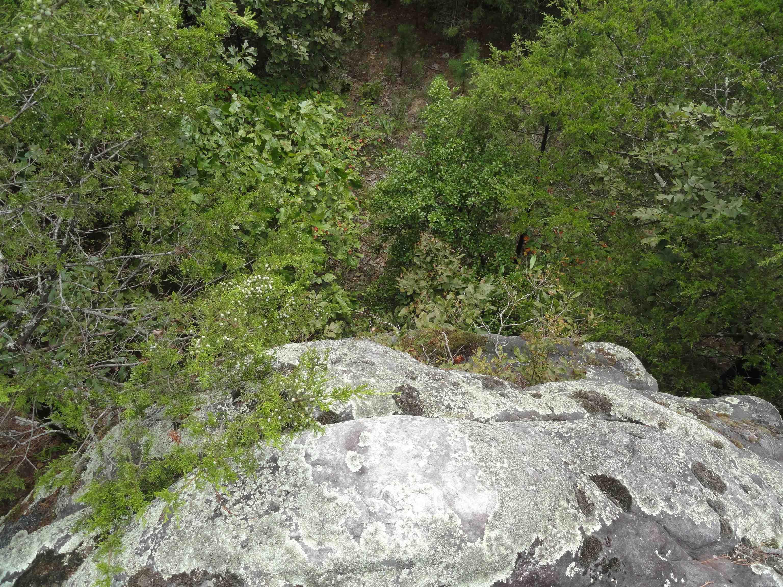 000 Baxter CR 128 Calico Rock, AR 72519