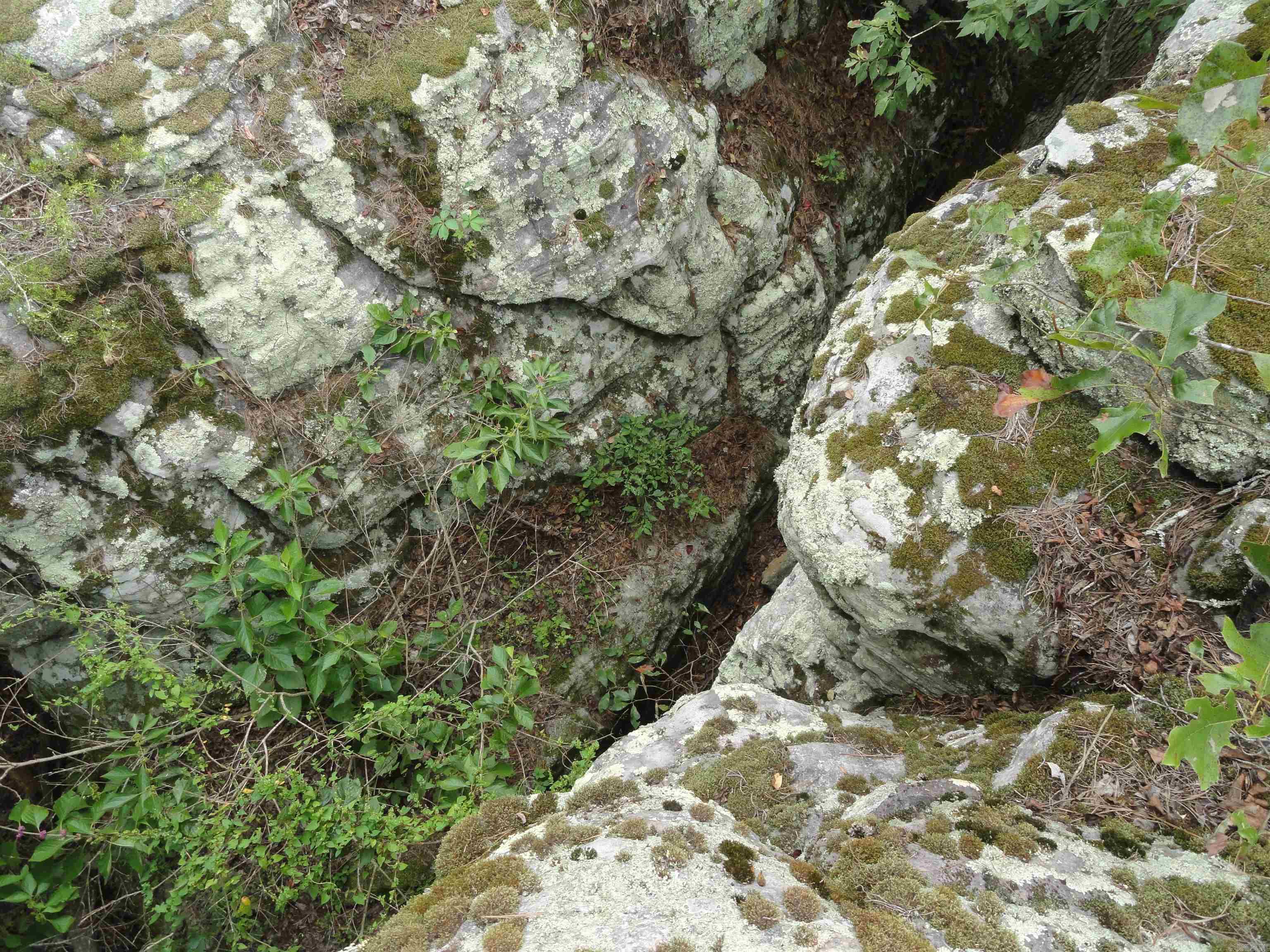 000 Baxter CR 128 Calico Rock, AR 72519