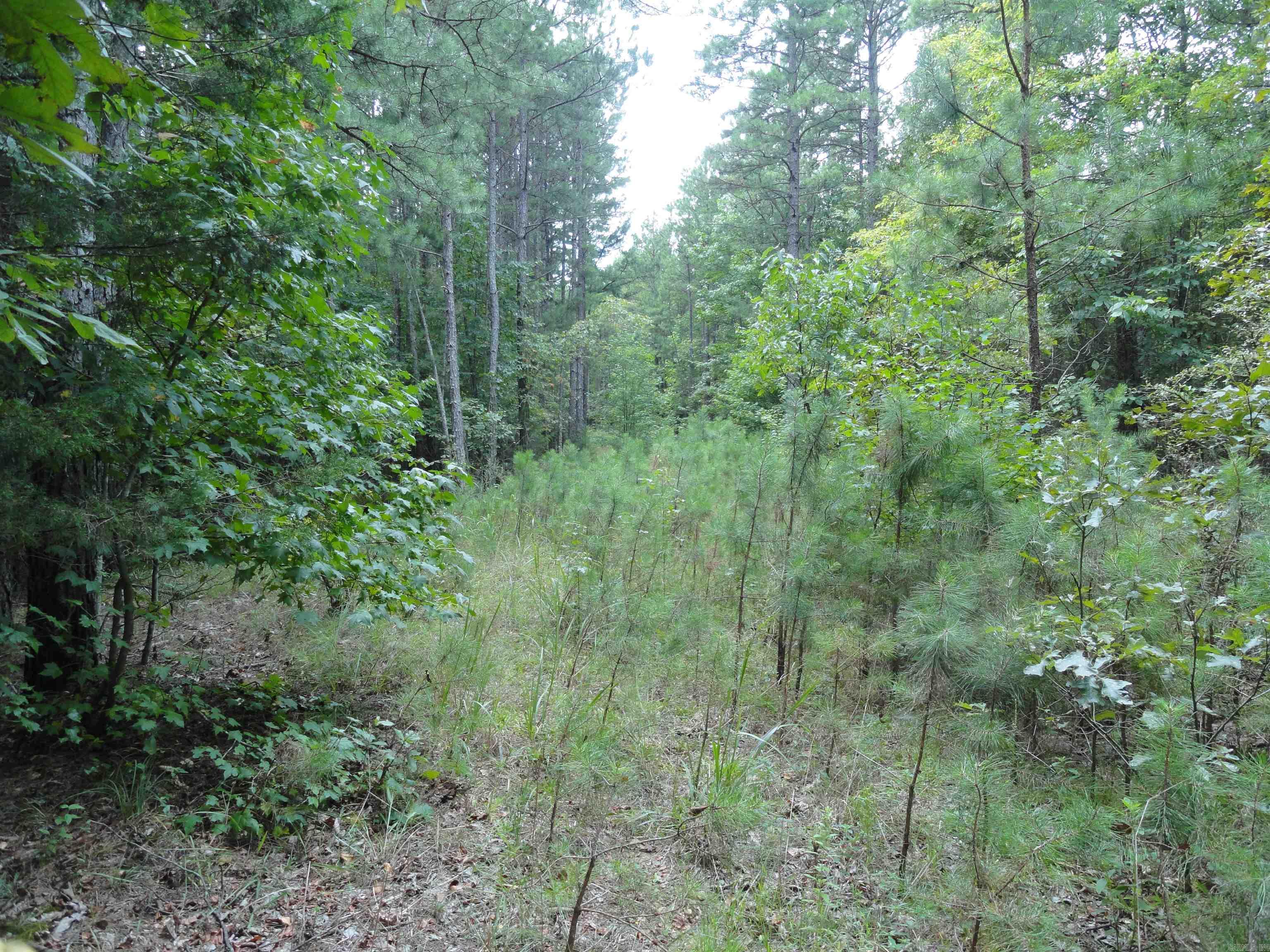 000 Baxter CR 128 Calico Rock, AR 72519