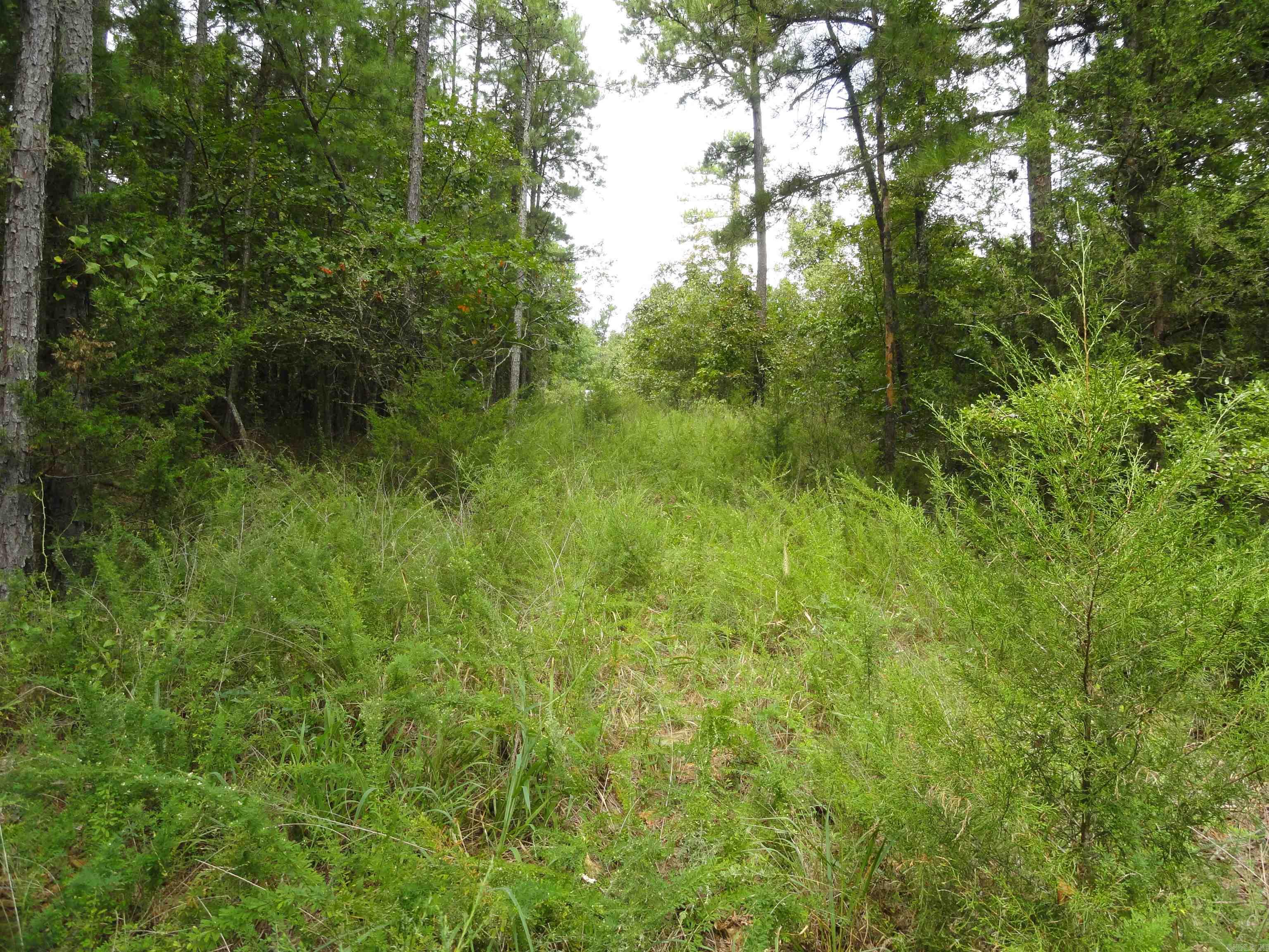 000 Baxter CR 128 Calico Rock, AR 72519