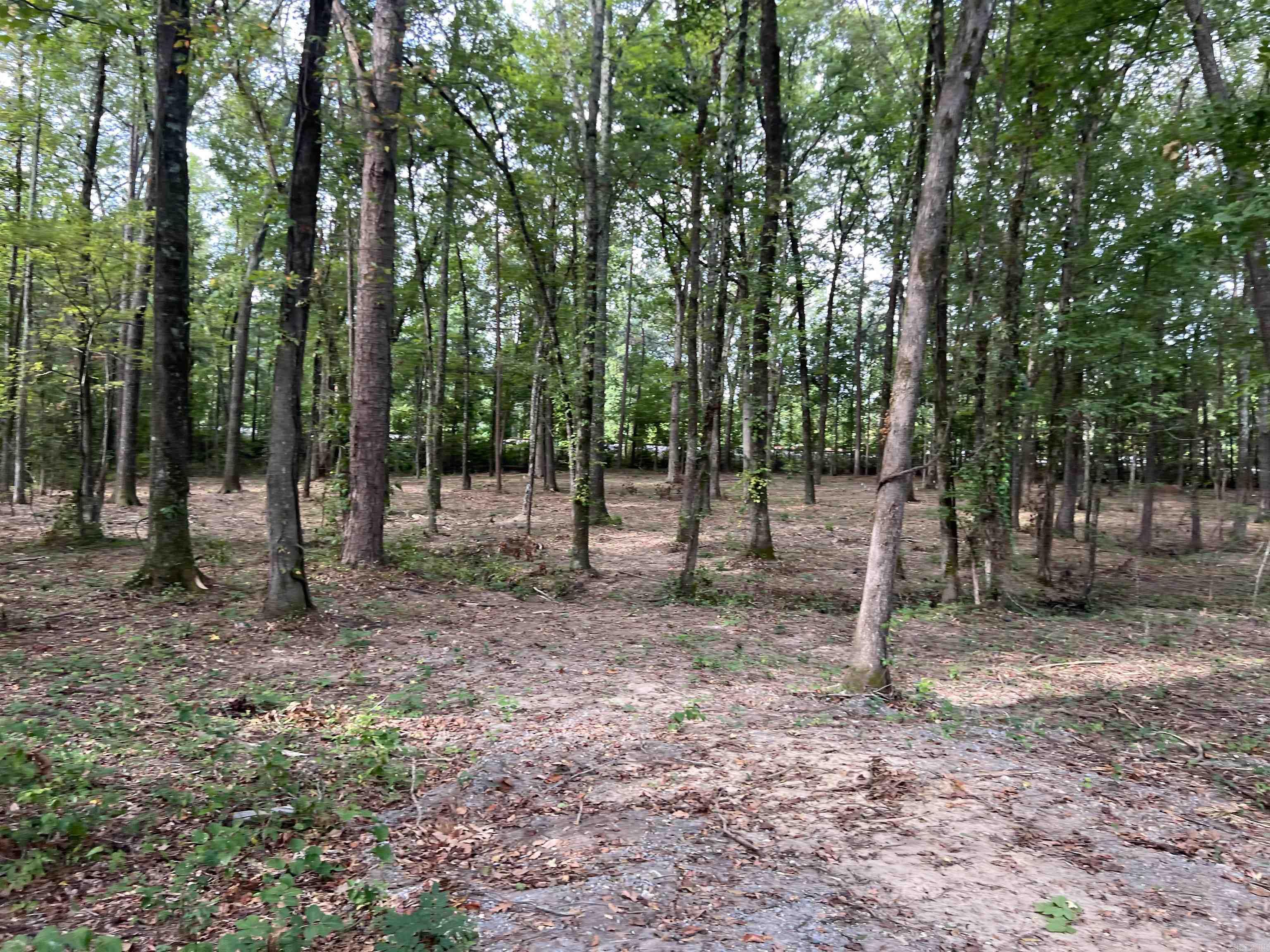 0 Arabian  White Hall, AR