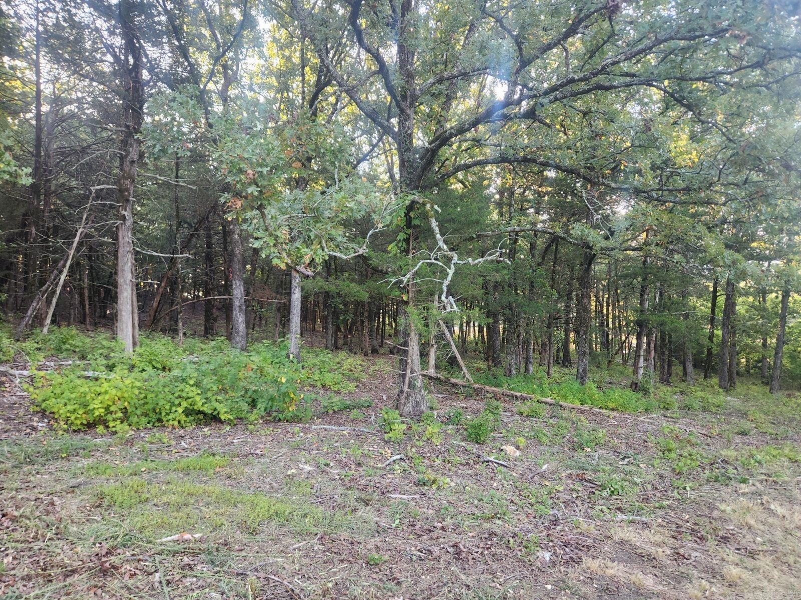 Lot 17 Indian Knob  Mountain View, AR