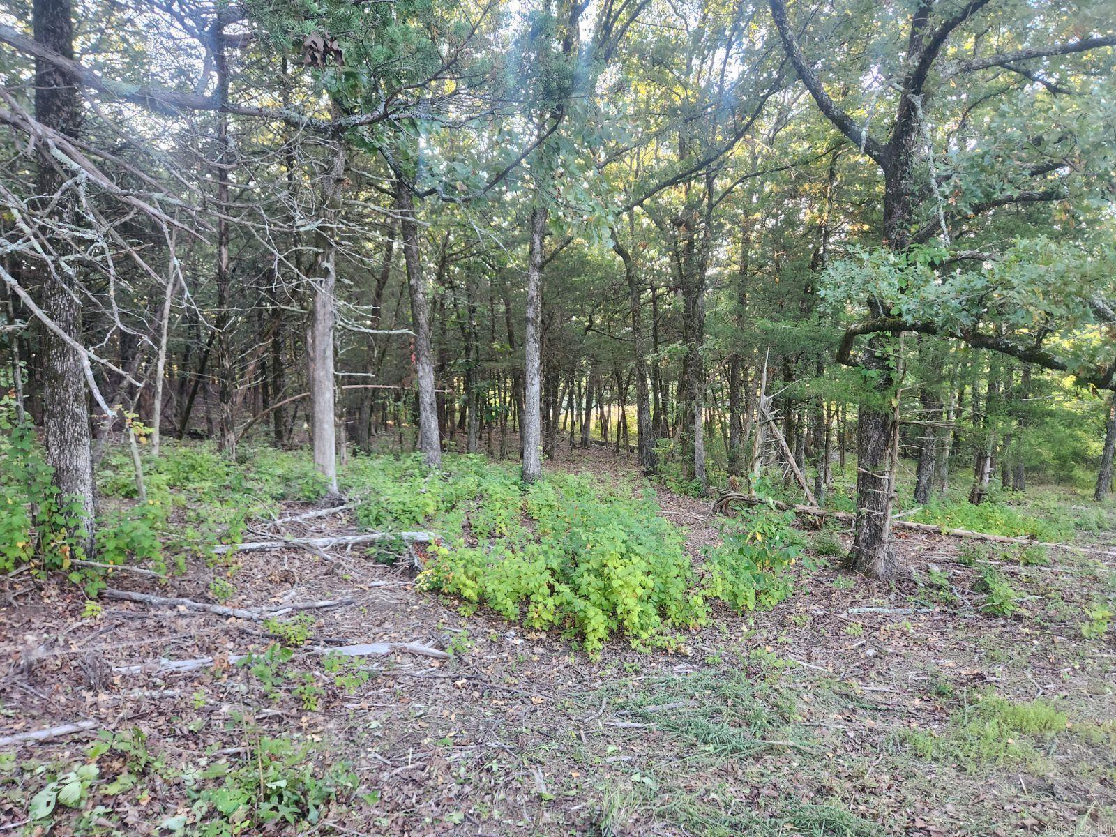 Lot 17 Indian Knob  Mountain View, AR
