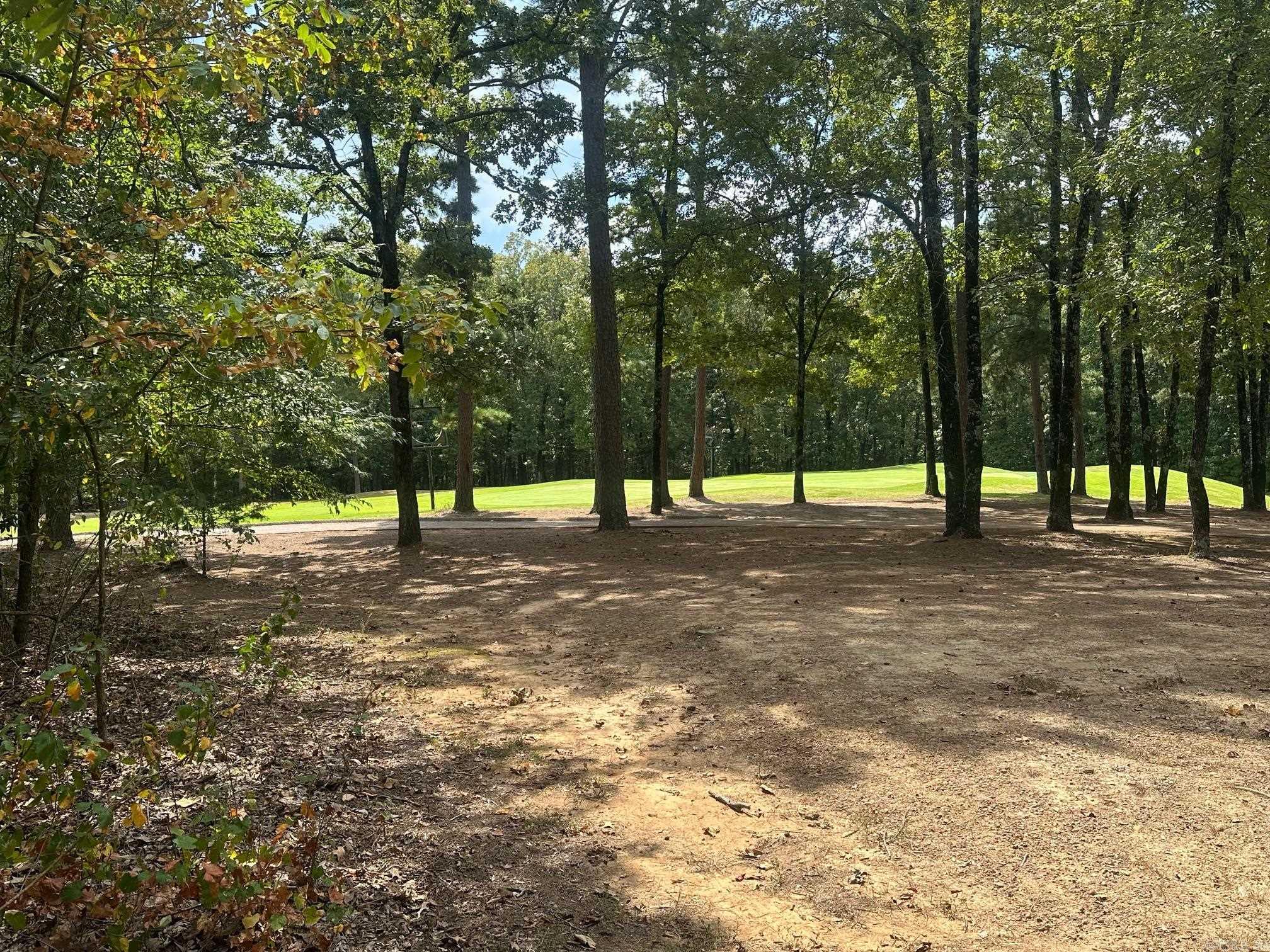 LOT 370 Brunn Cove  Drasco, AR