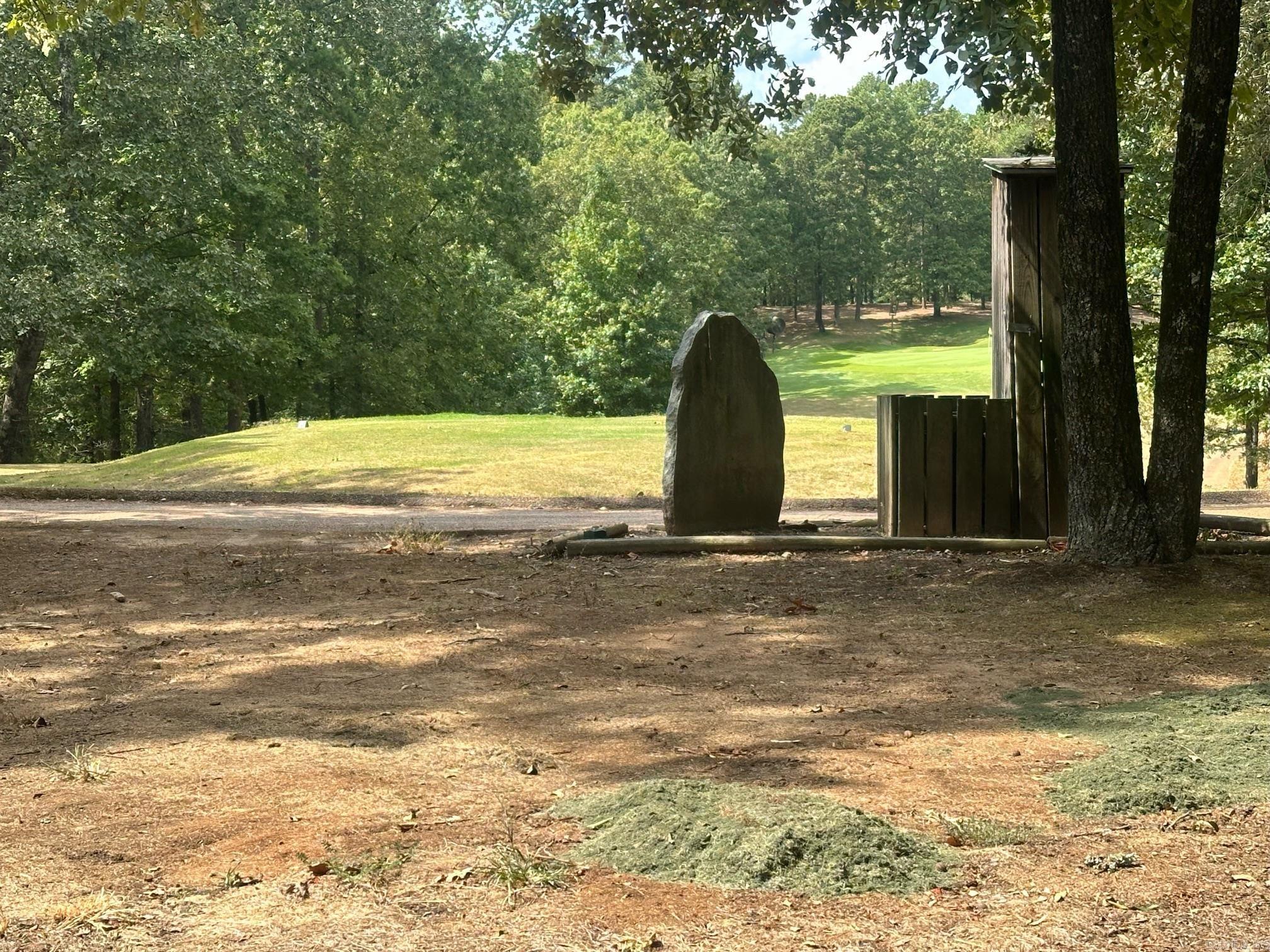 LOT 370 Brunn Cove  Drasco, AR