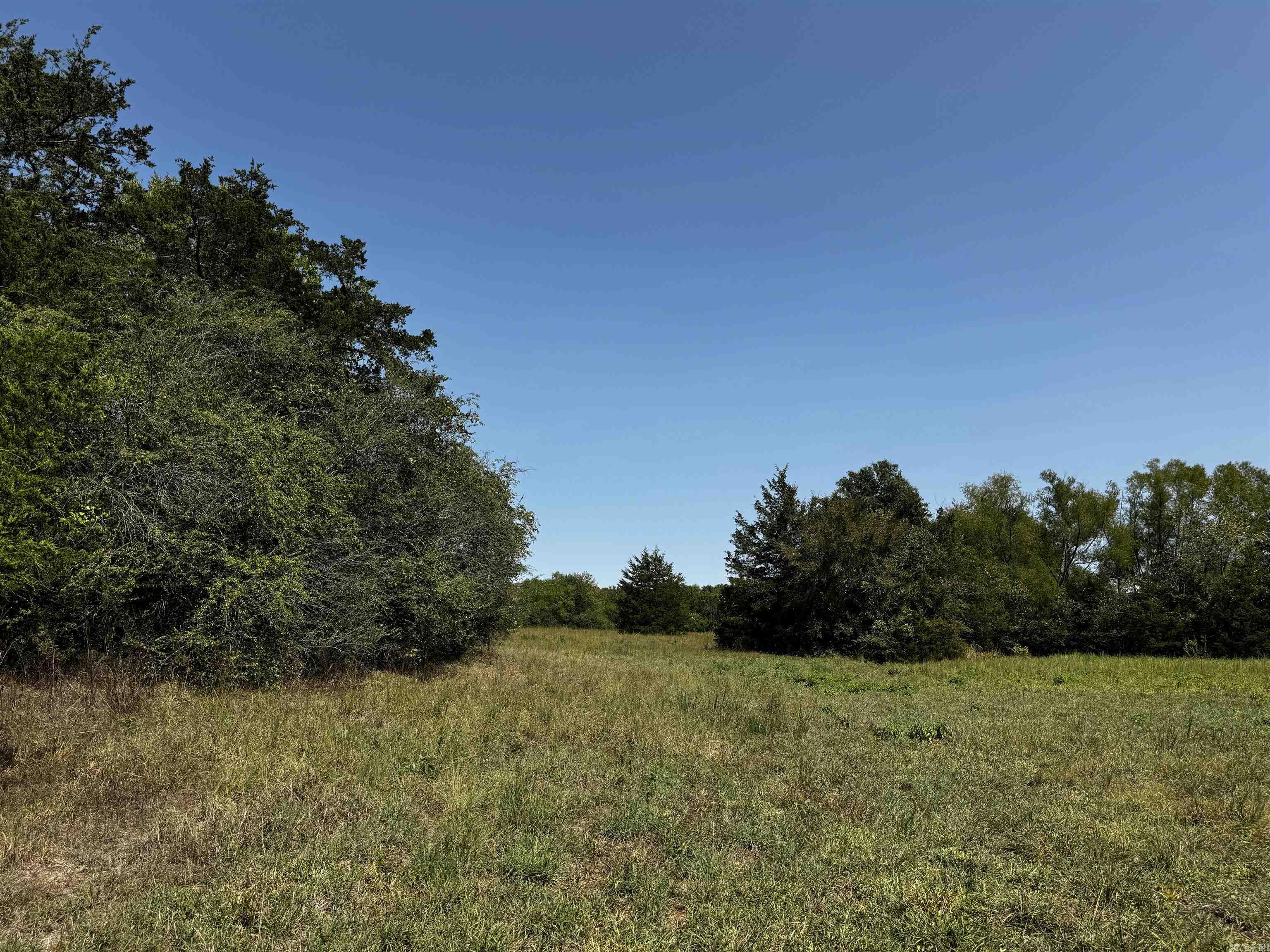 TBD W HWY 88  Oden, AR