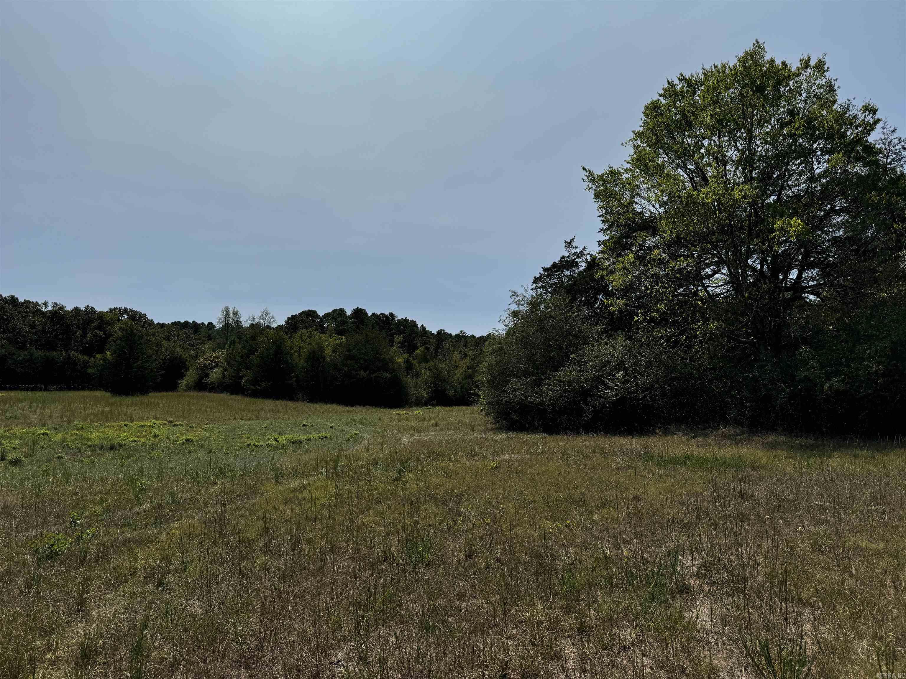 TBD W HWY 88  Oden, AR