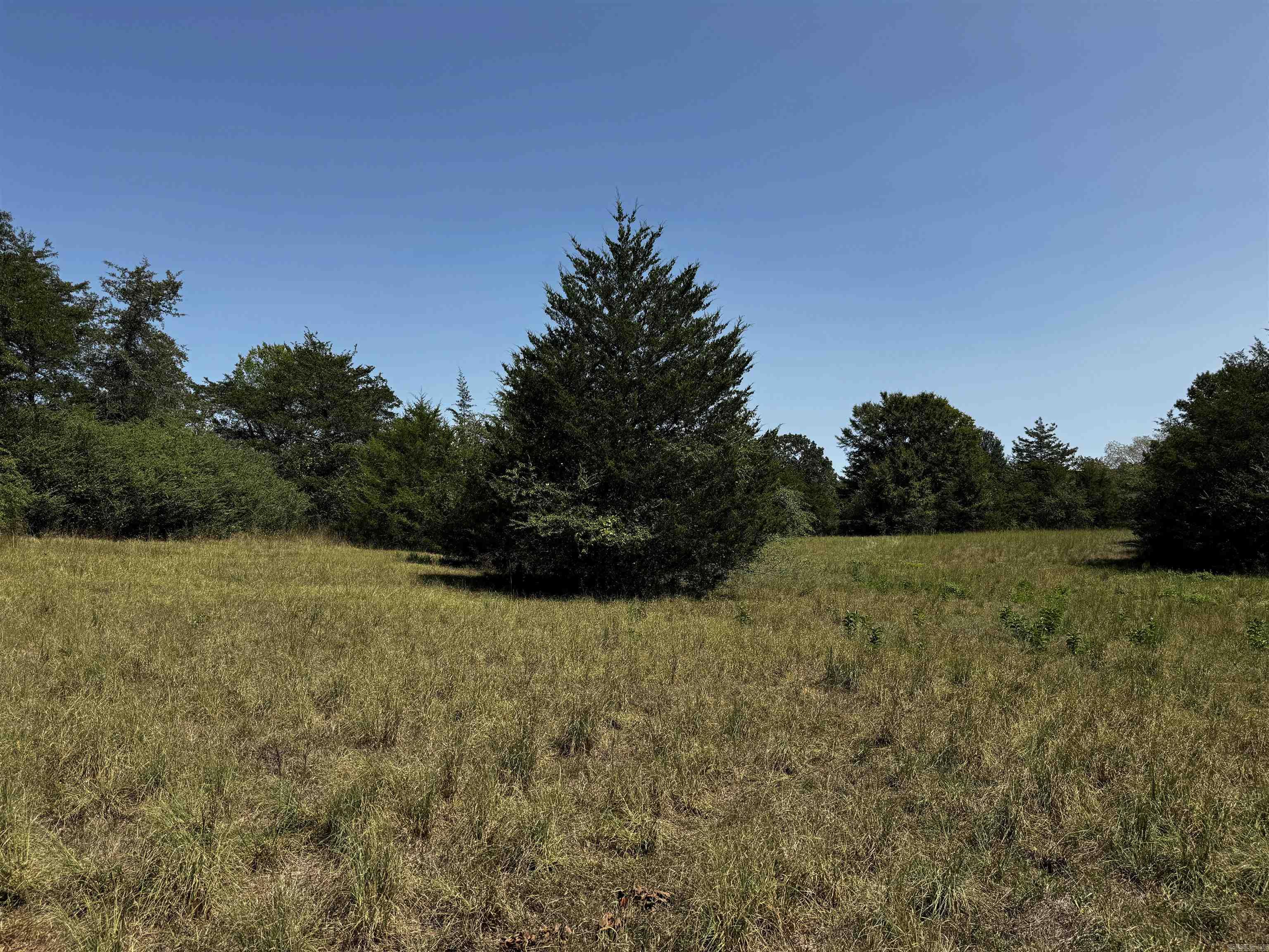 TBD W HWY 88  Oden, AR