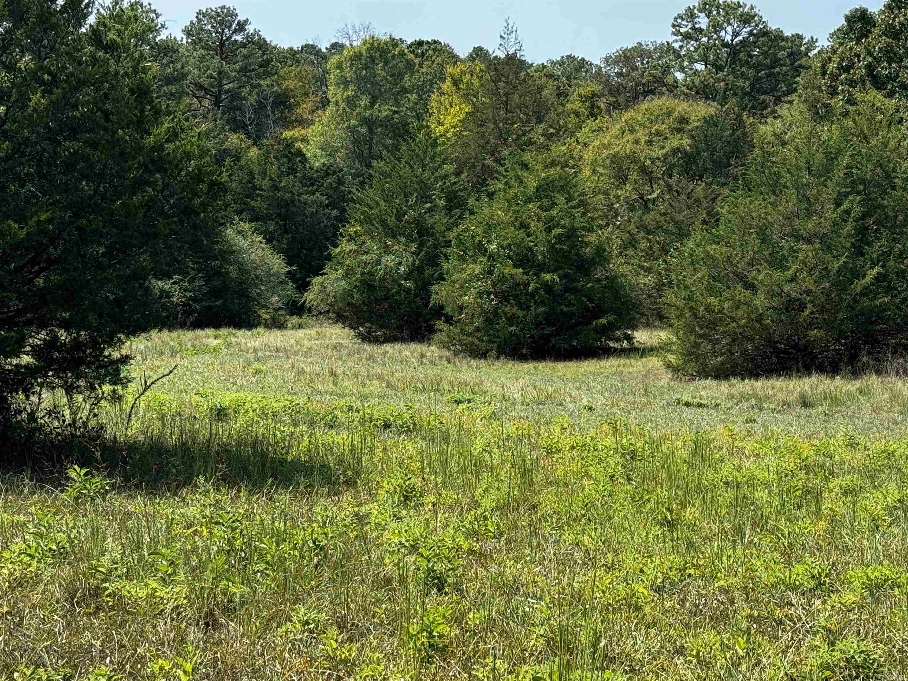 TBD W HWY 88  Oden, AR