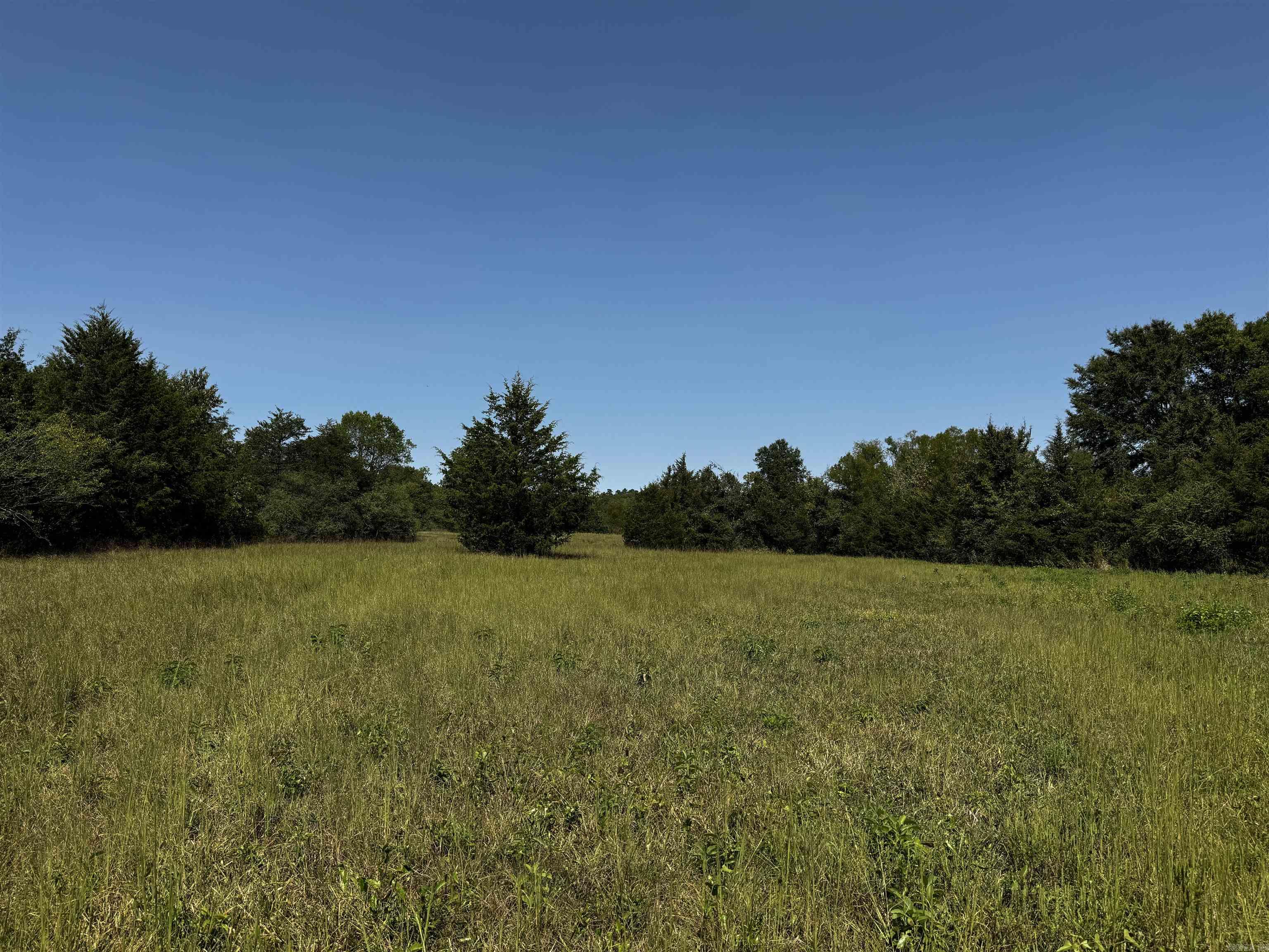 TBD W HWY 88  Oden, AR