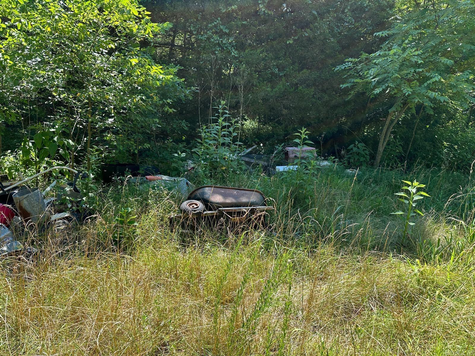 001 MC 5019 Springlake Rd Pyatt, AR