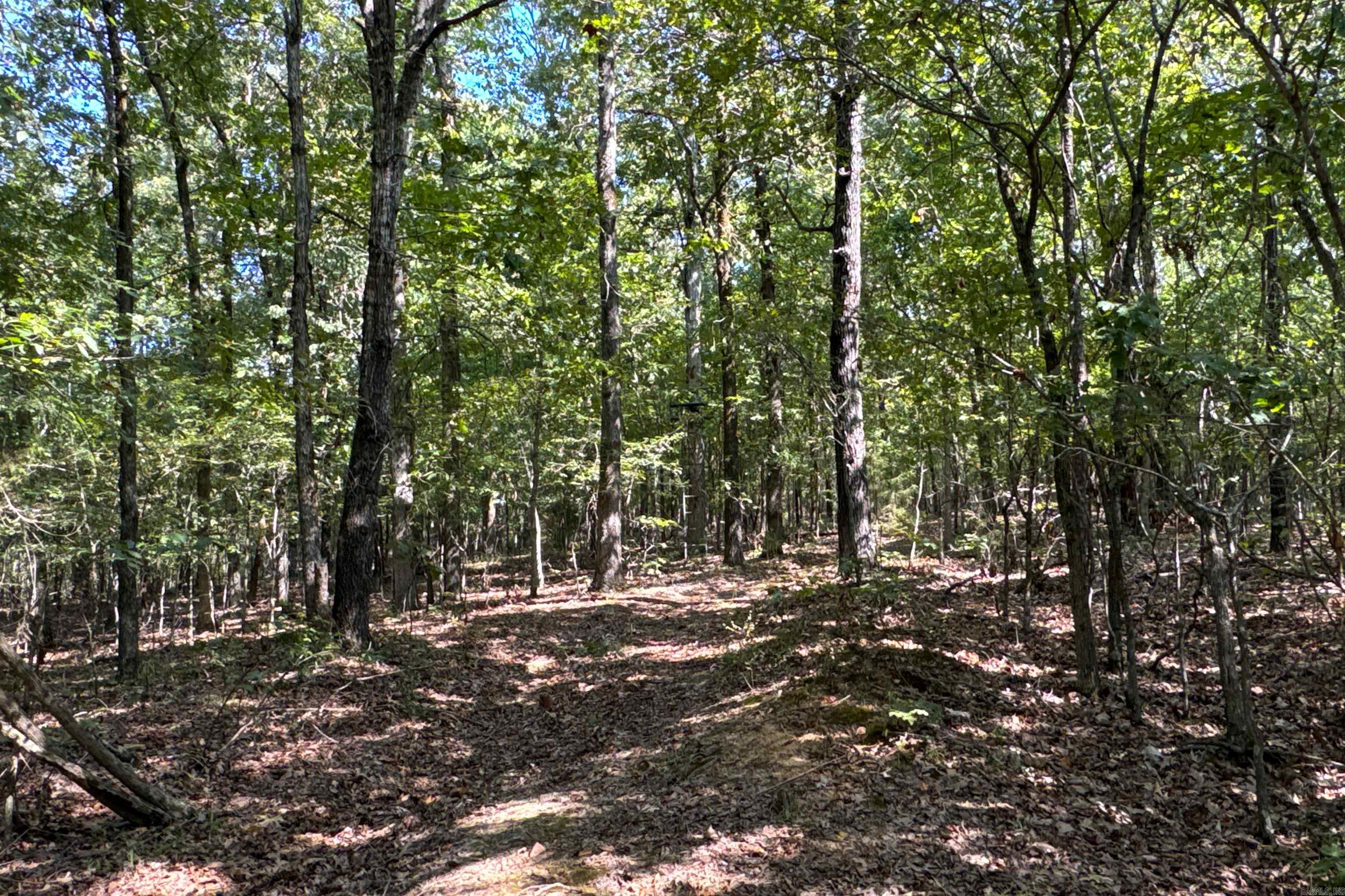  Clay County Rd. 408  Rector, AR