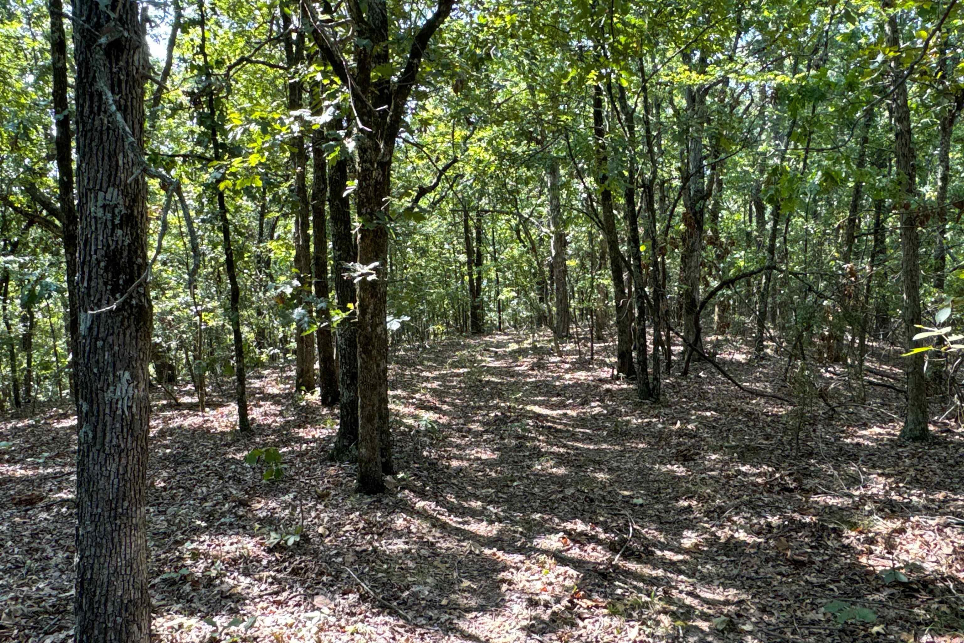  Clay County Rd. 408  Rector, AR