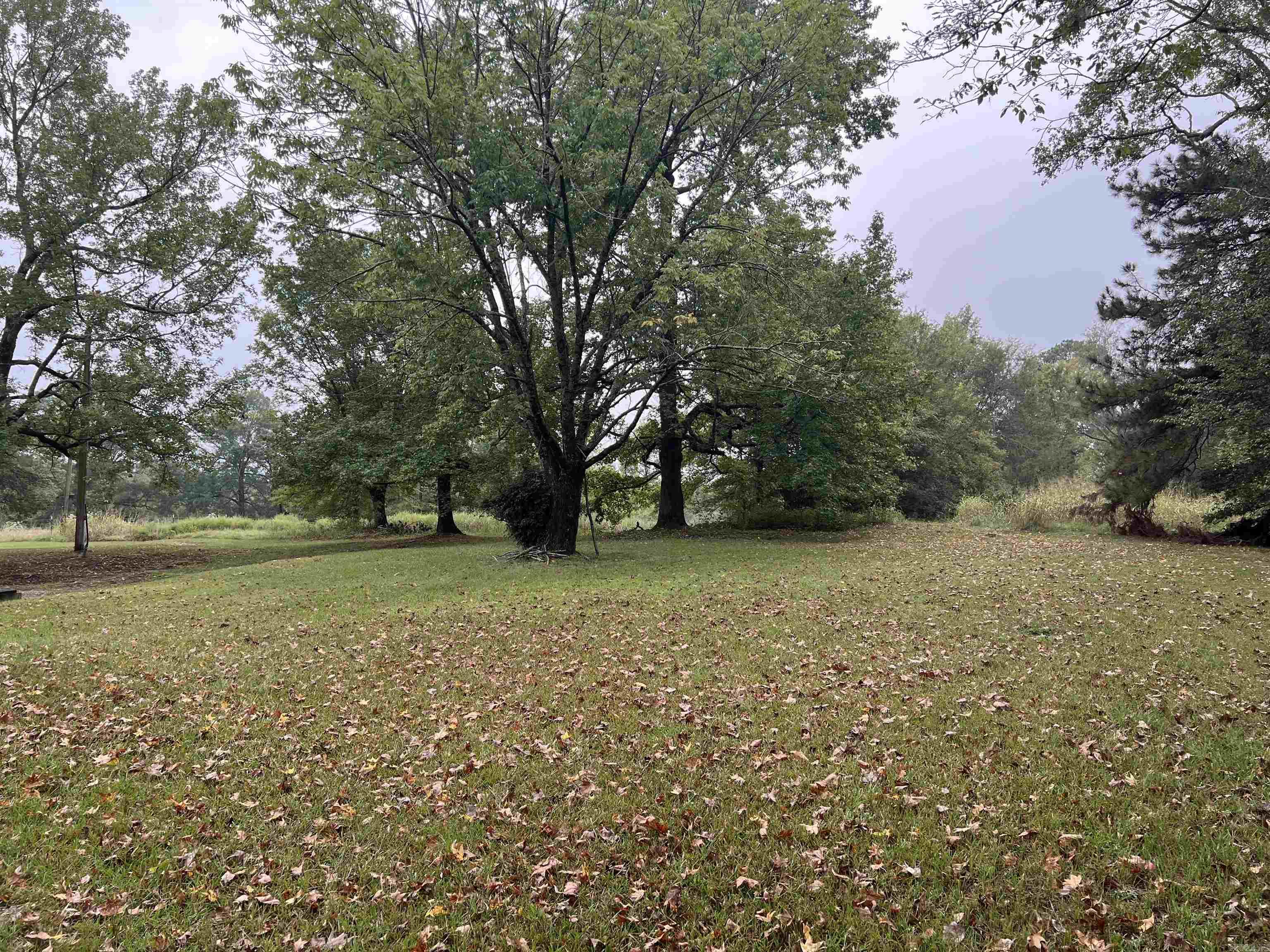 1457 Mt View Road Glenwood, AR 71943