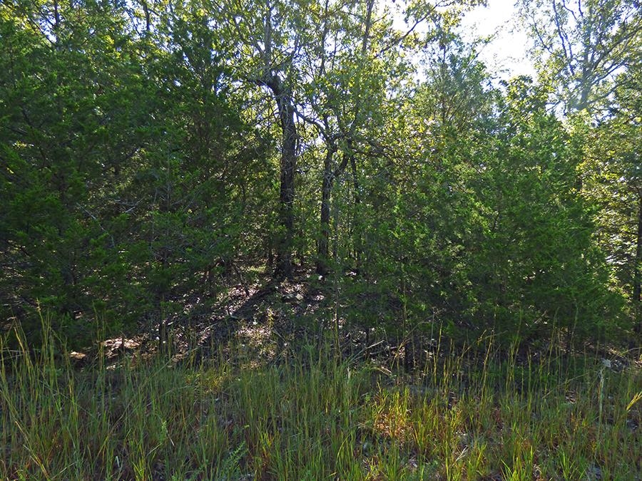  Diamond Cove  Horseshoe Bend, AR