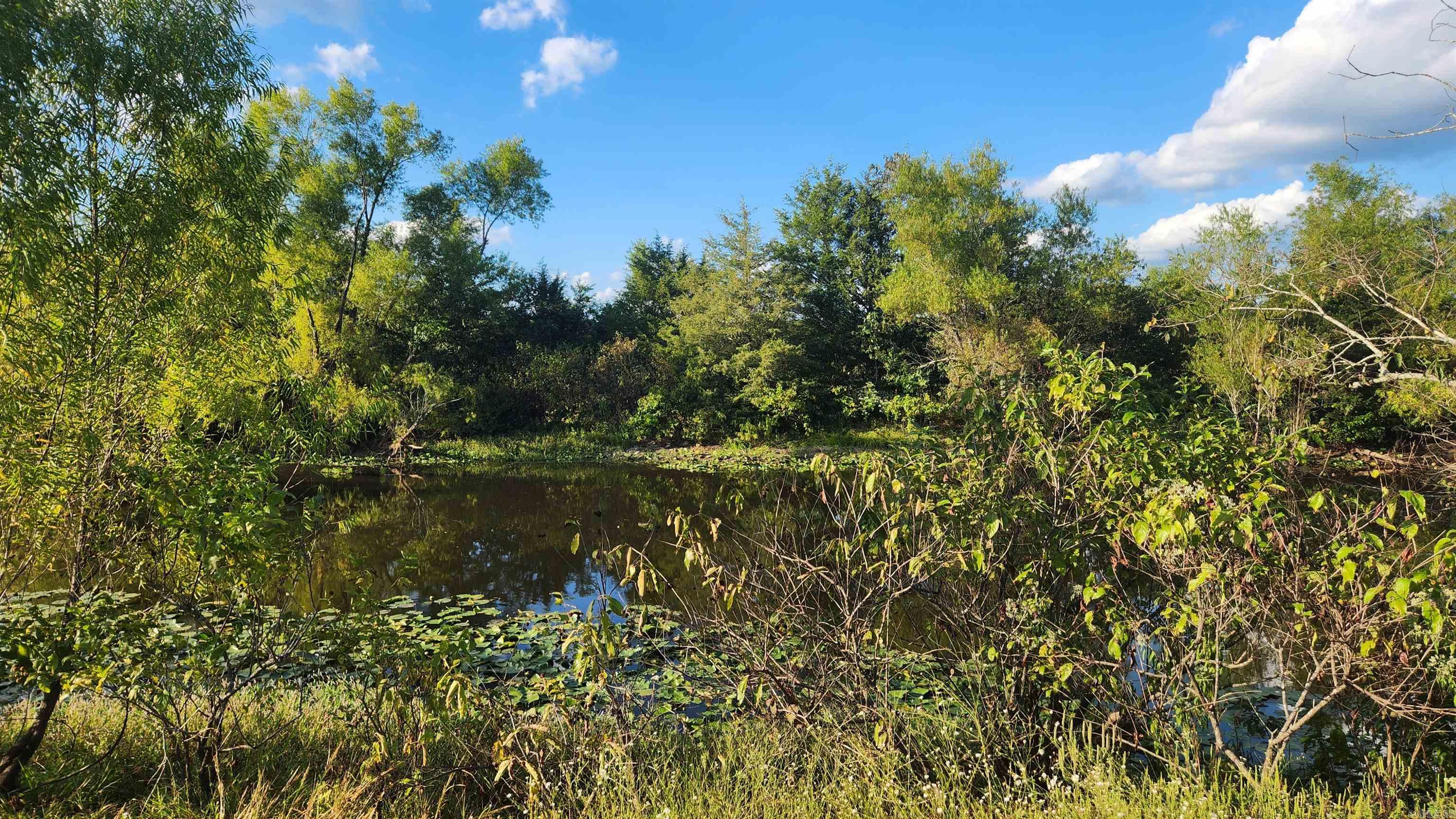 TBD Lynda Ln  Oden, AR