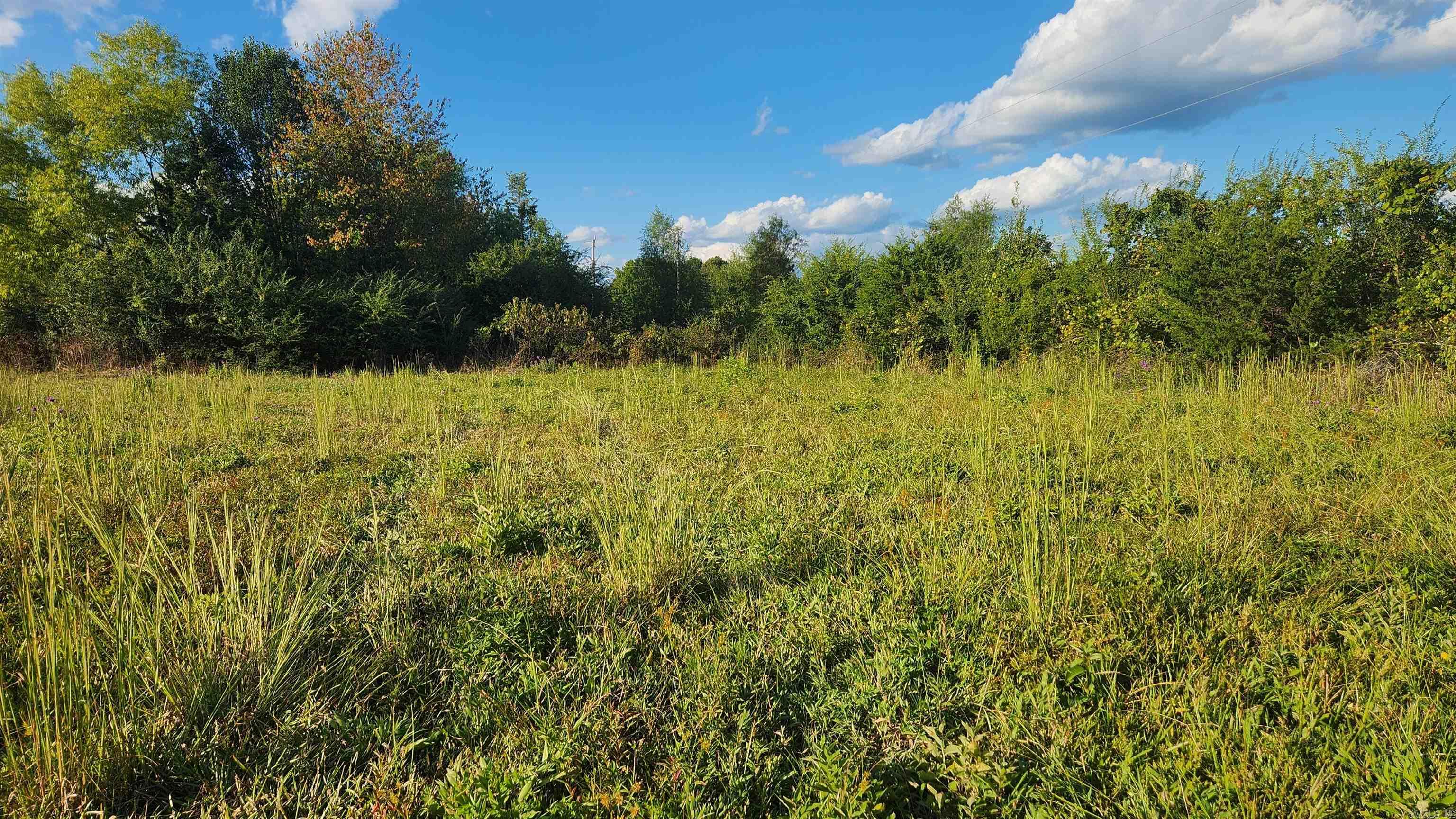 TBD Lynda Ln  Oden, AR