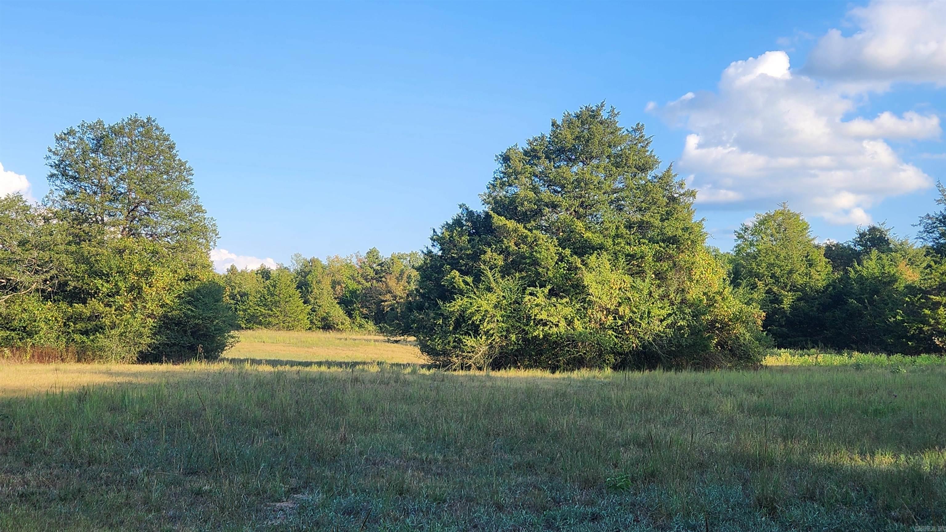 TBD Lynda Ln  Oden, AR