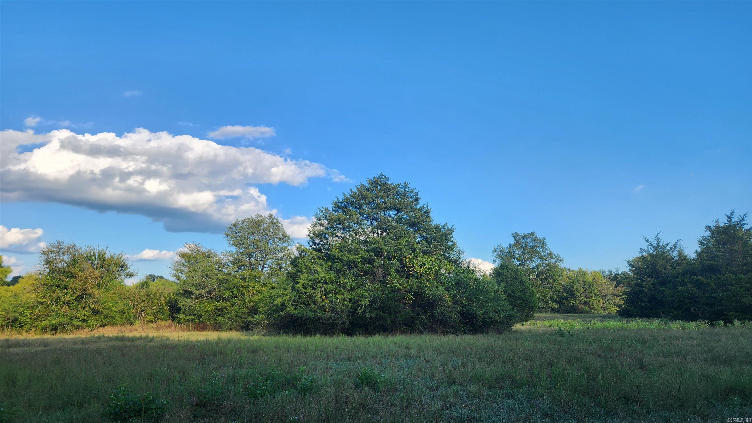 TBD Lynda Ln  Oden, AR