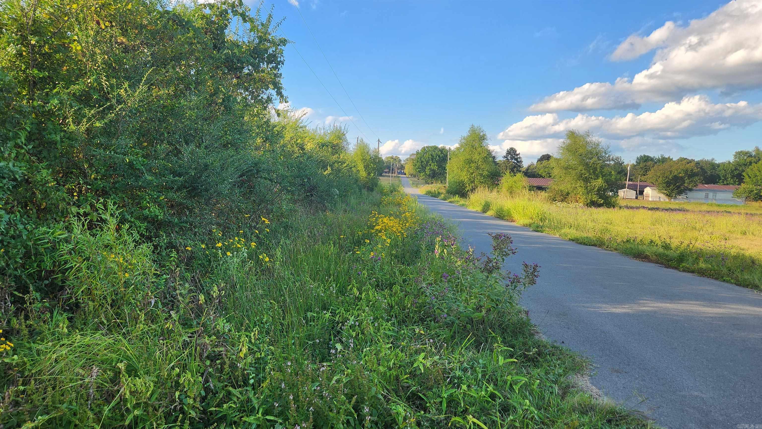 TBD Lynda Ln  Oden, AR