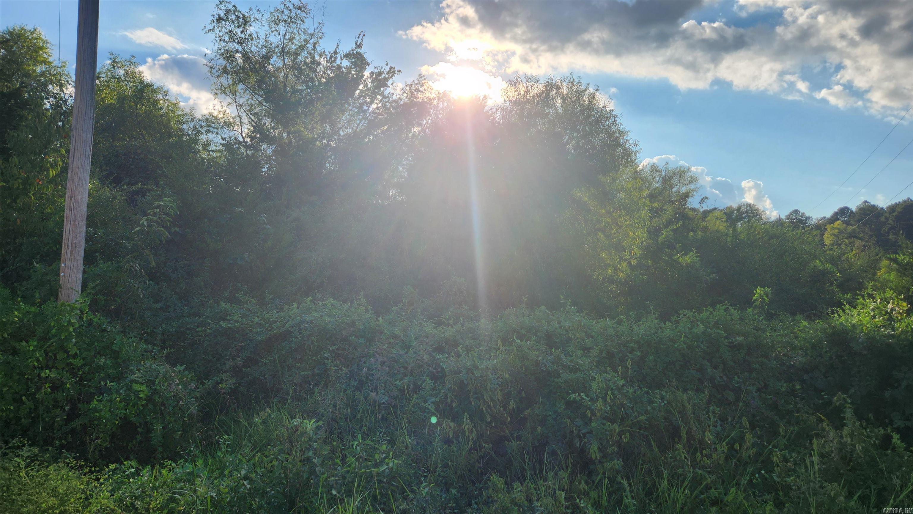 TBD Lynda Ln  Oden, AR