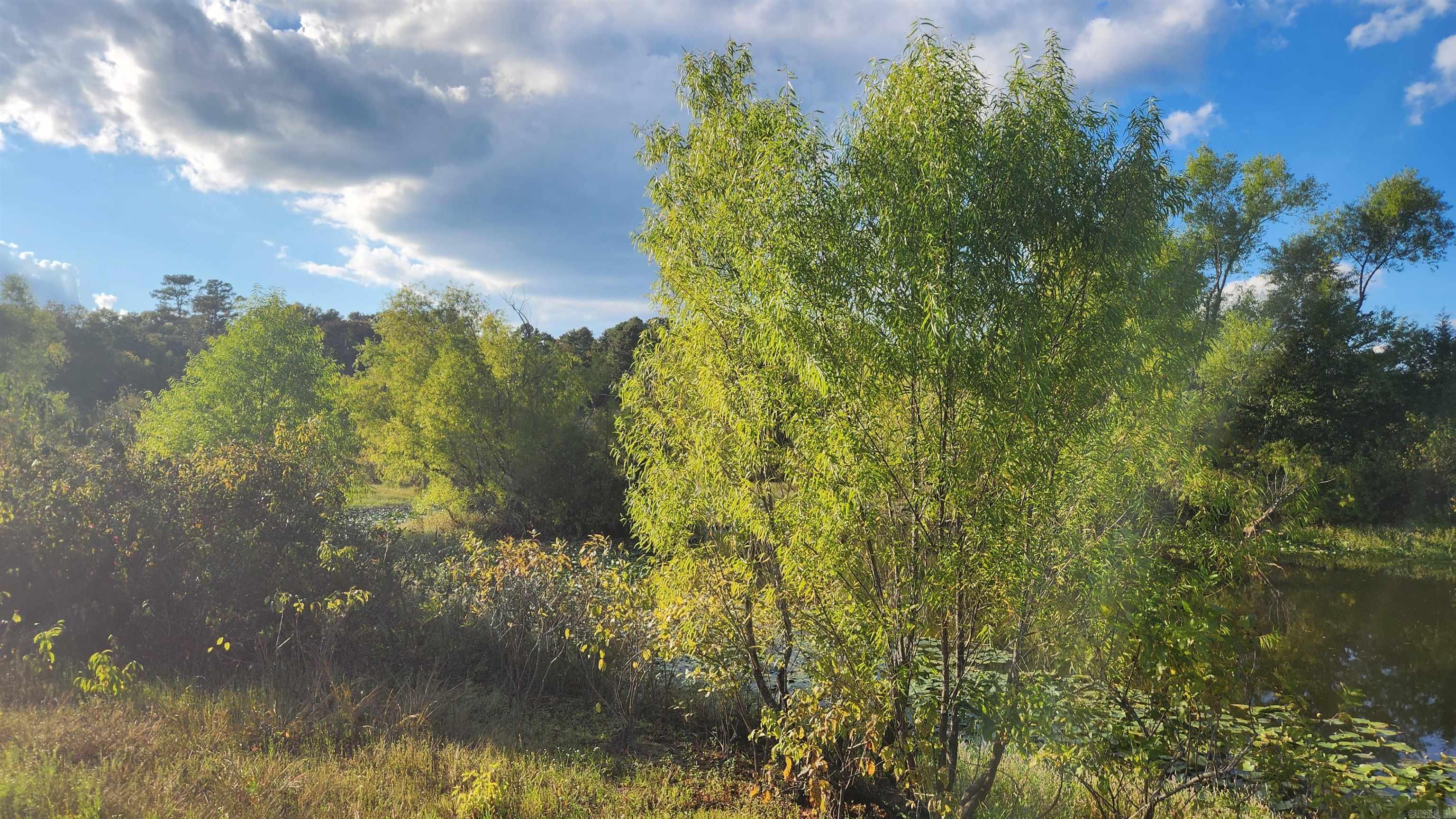 TBD Lynda Ln  Oden, AR