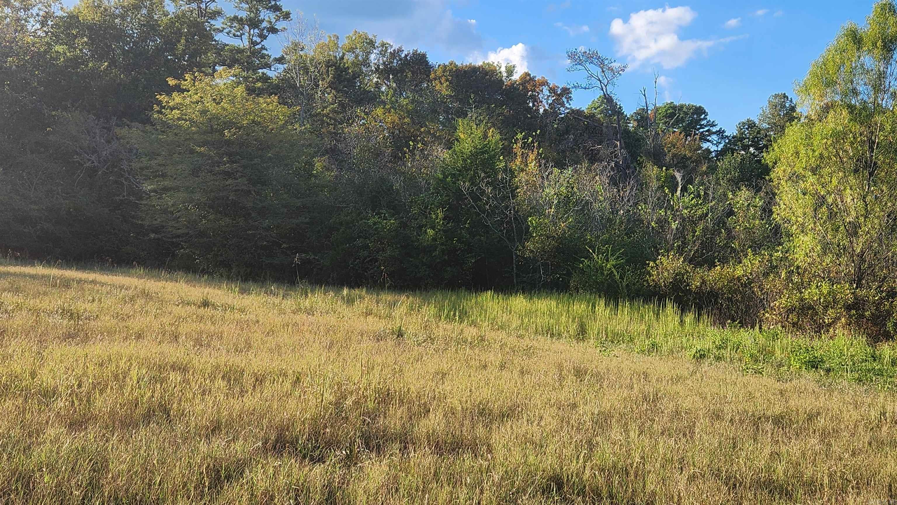 TBD Lynda Ln  Oden, AR