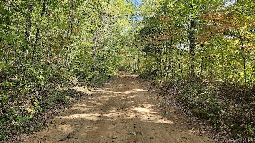 232 Acres+/- Crossroads Rd  Compton, AR