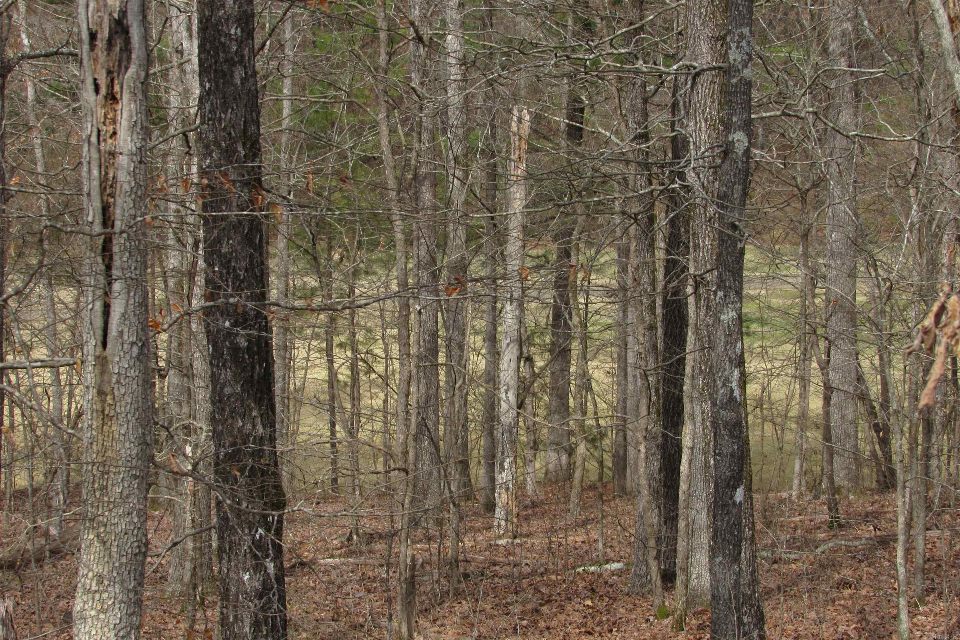 lot 1667A-1671A WESCHESTER  Hot Springs, AR