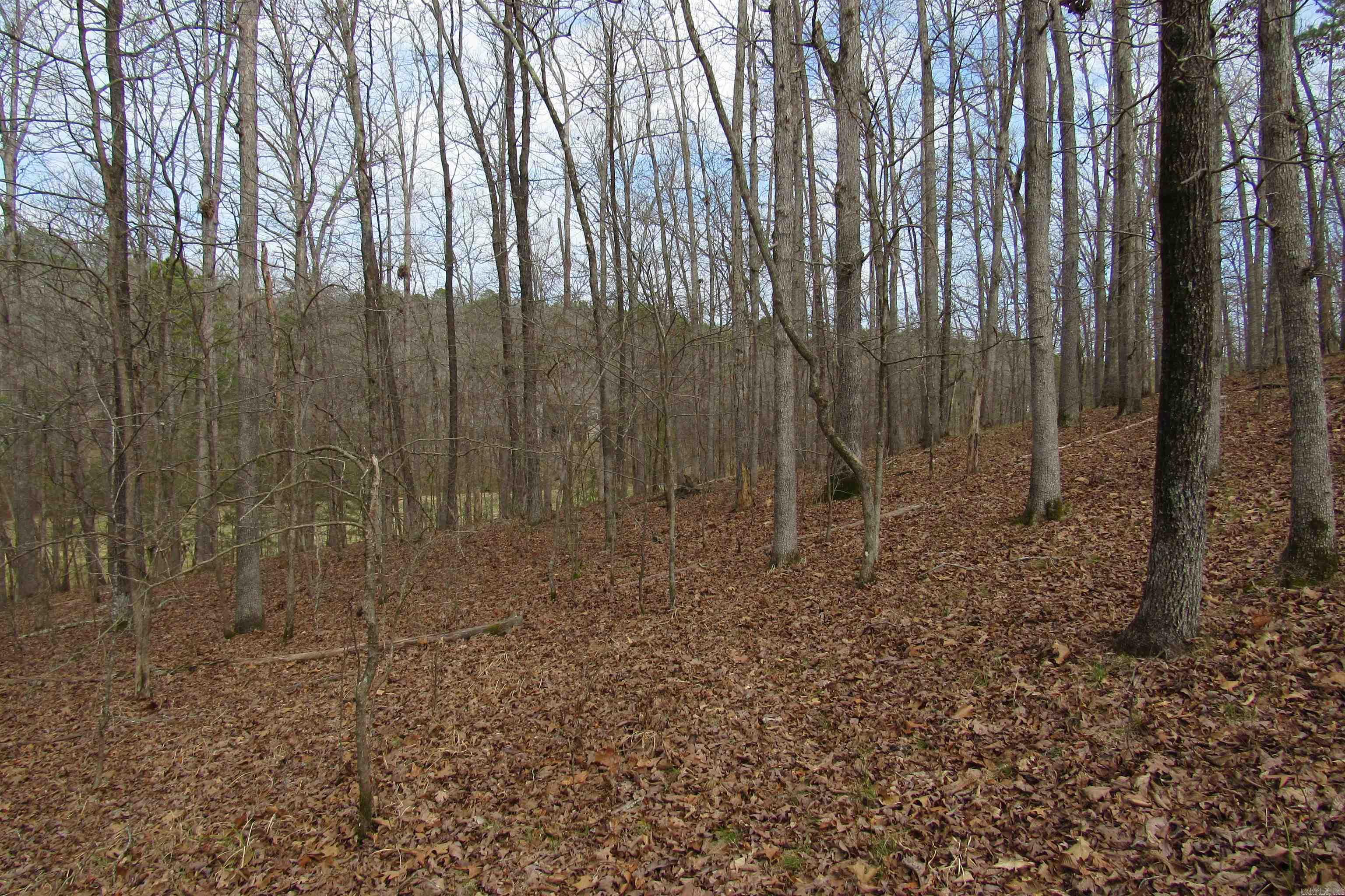 lot 1667A-1671A WESCHESTER  Hot Springs, AR