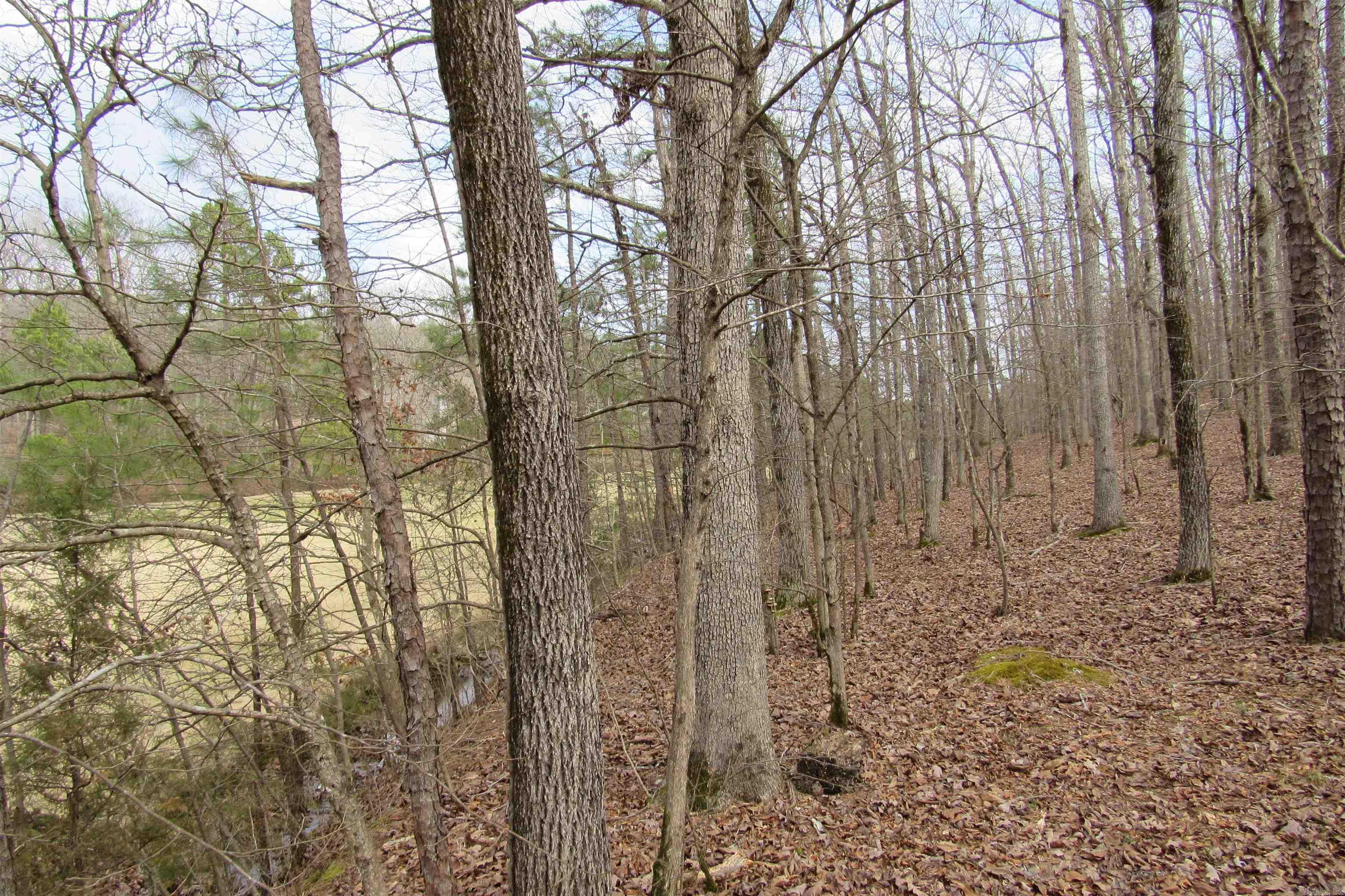 lot 1667A-1671A WESCHESTER  Hot Springs, AR