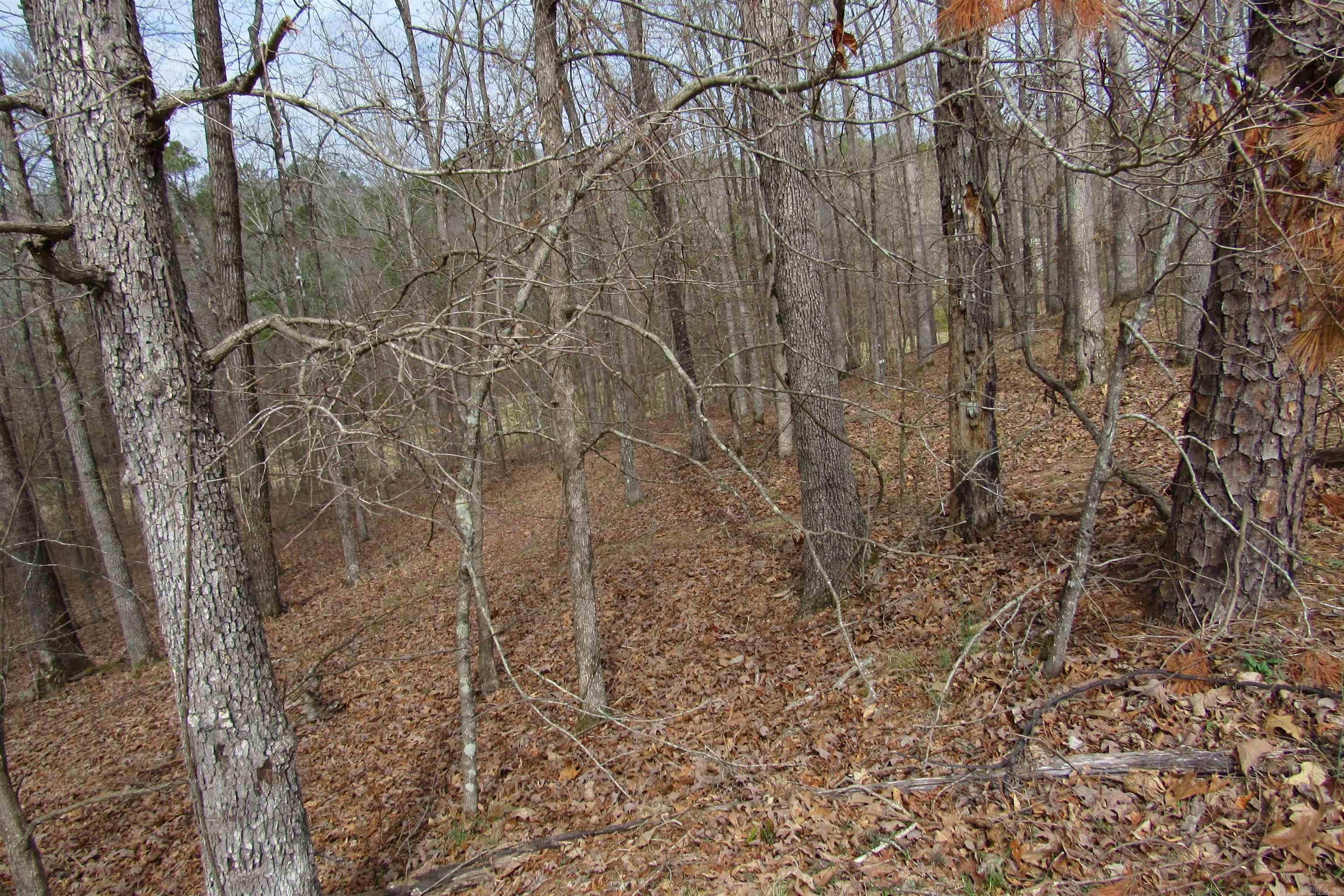 lot 1667A-1671A WESCHESTER  Hot Springs, AR