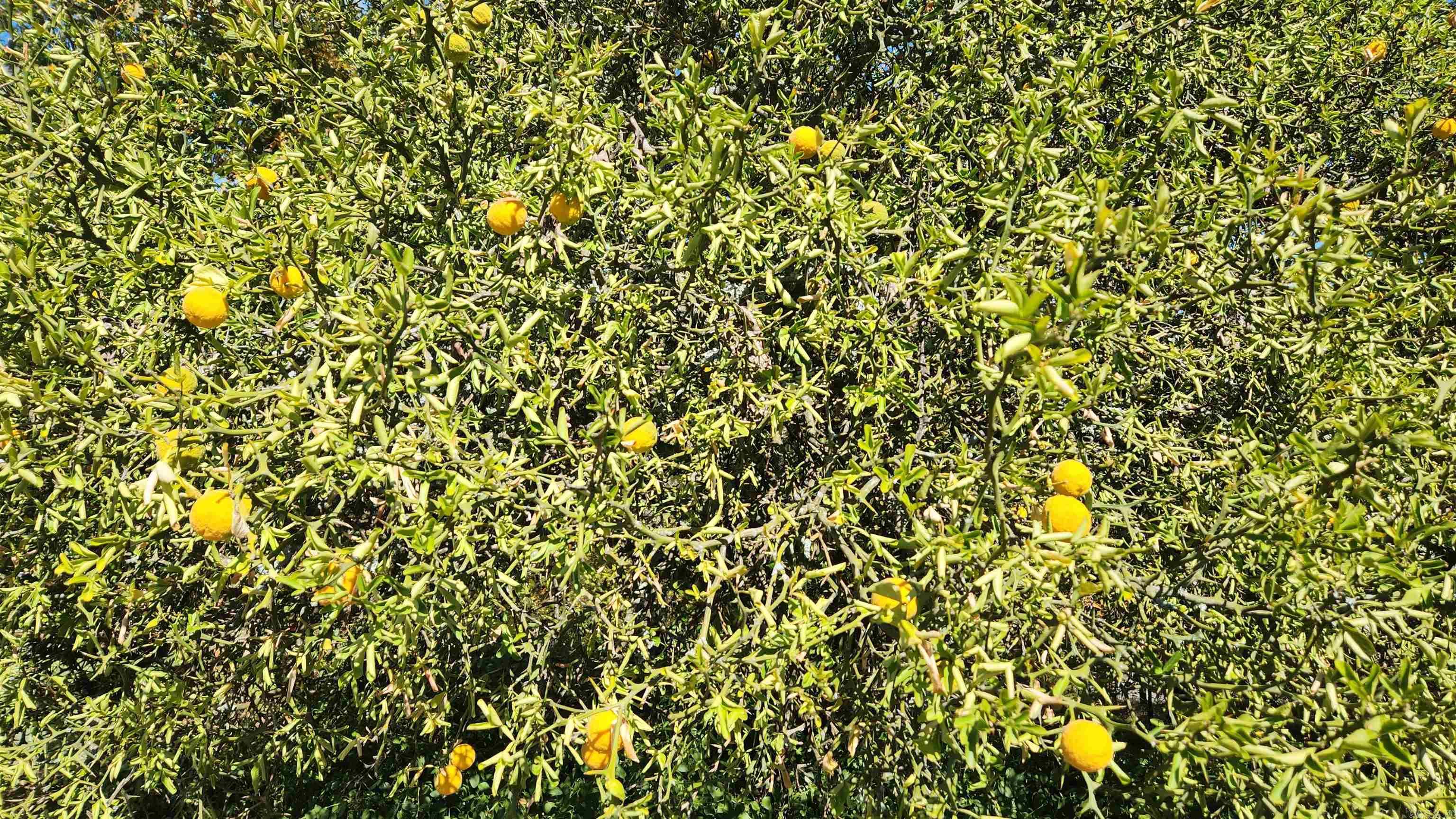 47 Chigger Hill  Story, AR