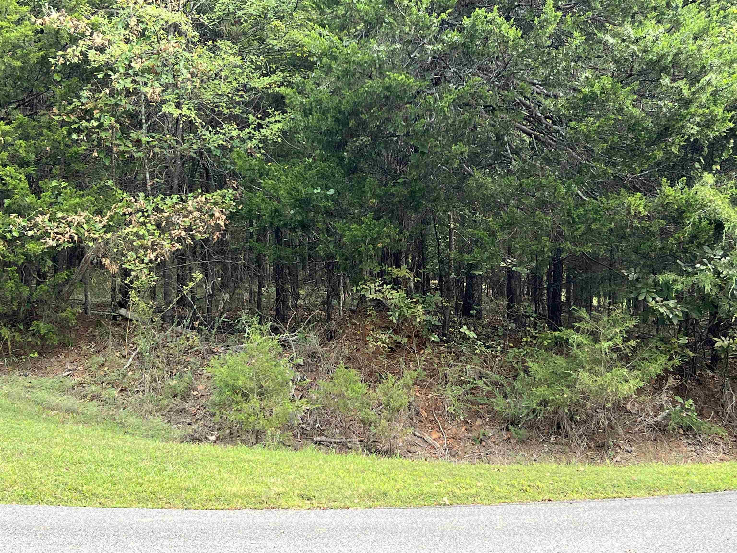 137 Shore Drive  Shirley, AR