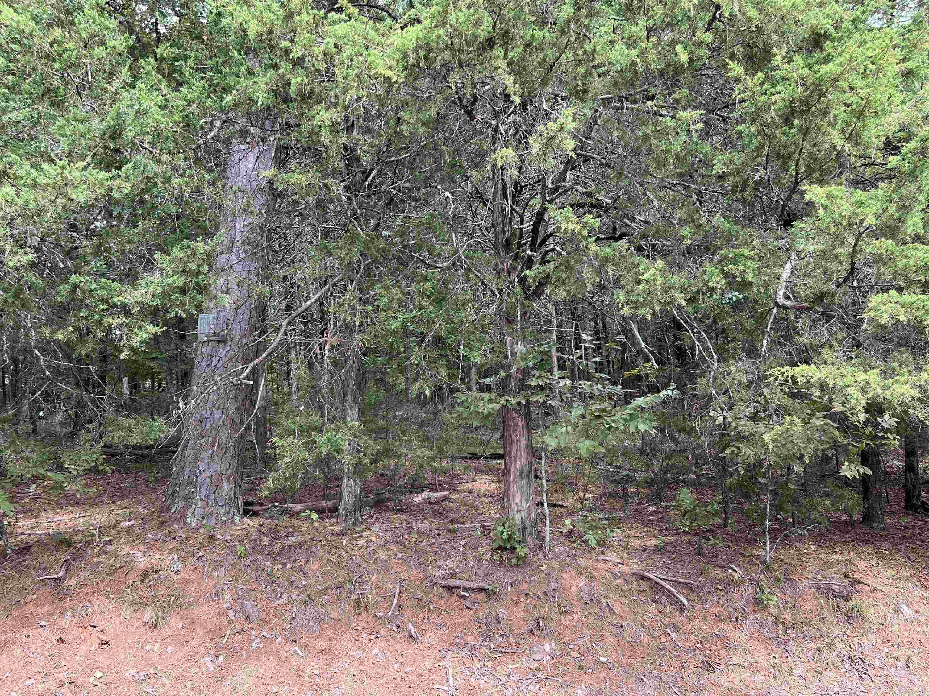 137 Shore Drive  Shirley, AR