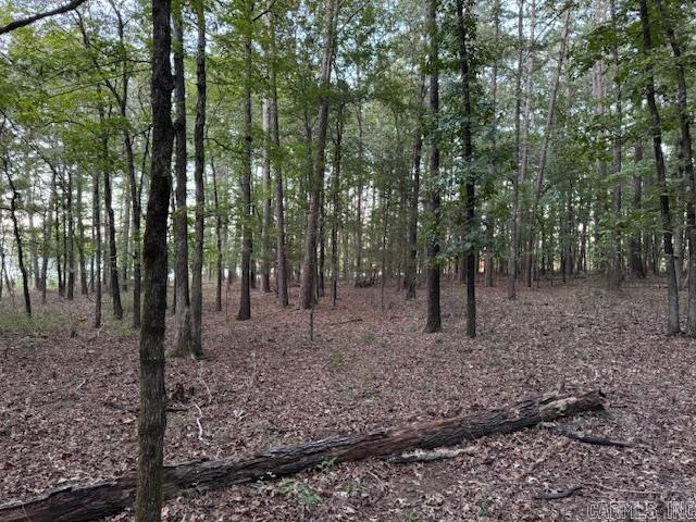Lot #15 Lakeland Acres  Drasco, AR