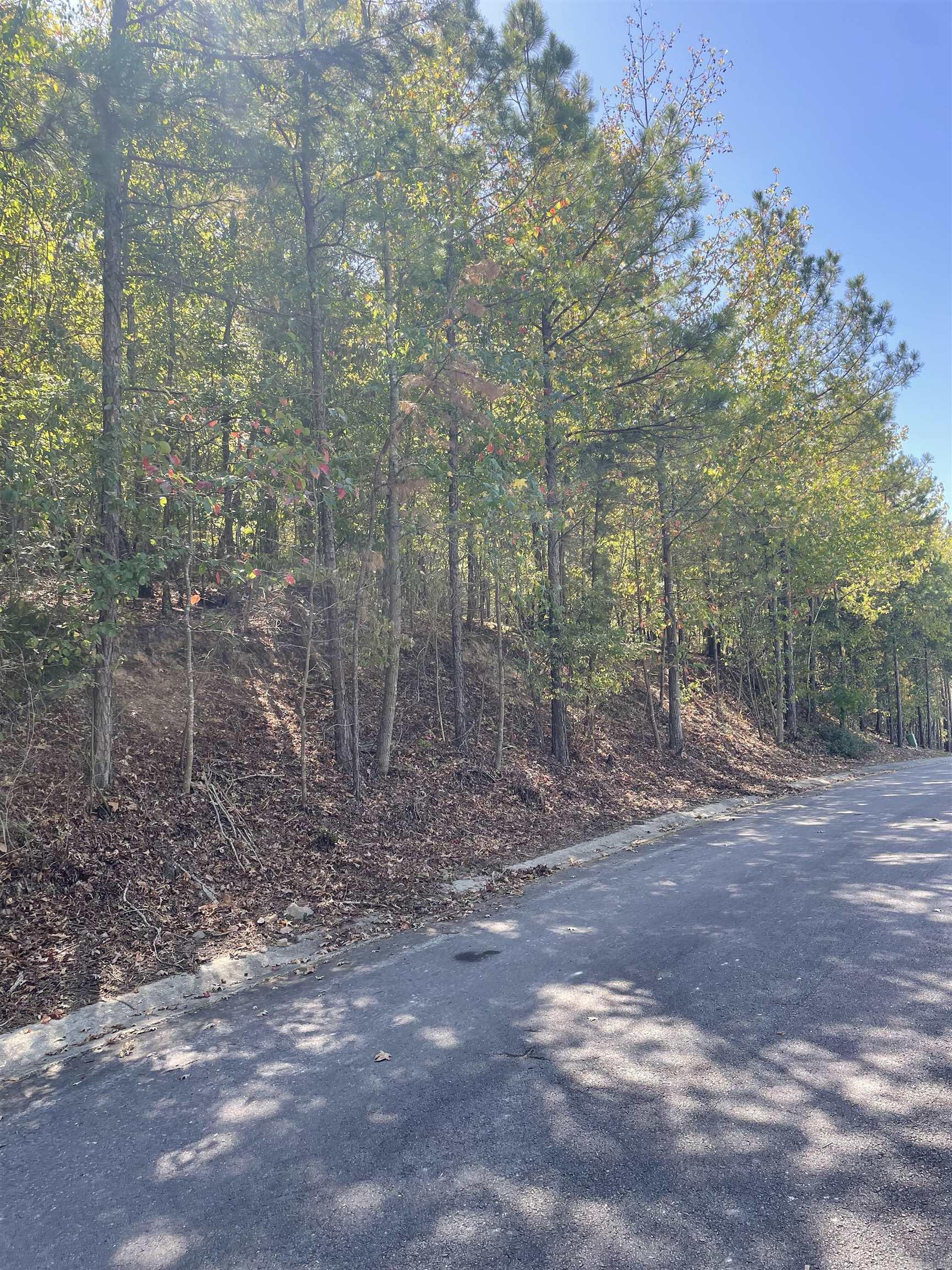 3.25 Lake Forest Shores  Hot Springs, AR