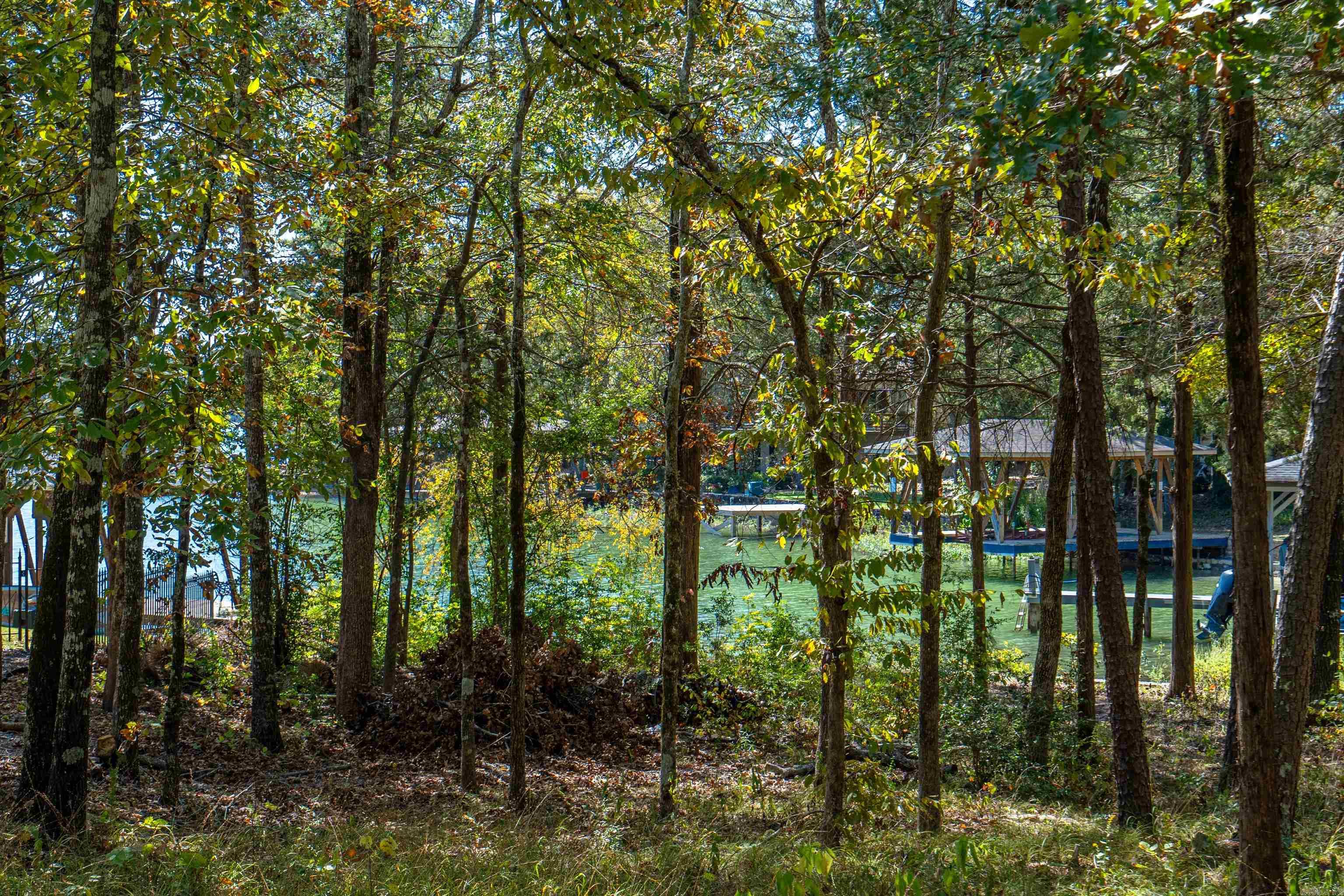 5 Sanchez Cove Hot Springs Village, AR 71909