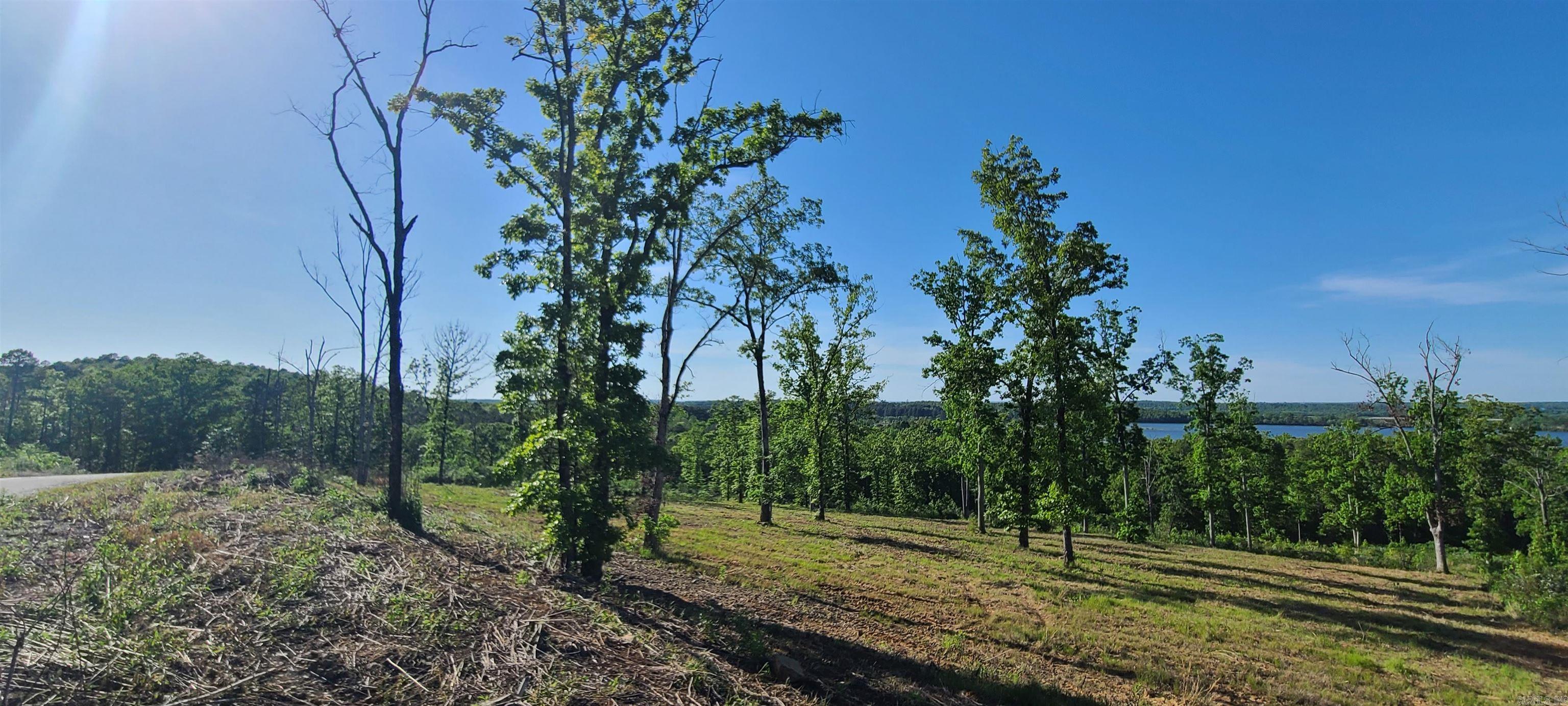 230 Waterview Drive  Conway, AR